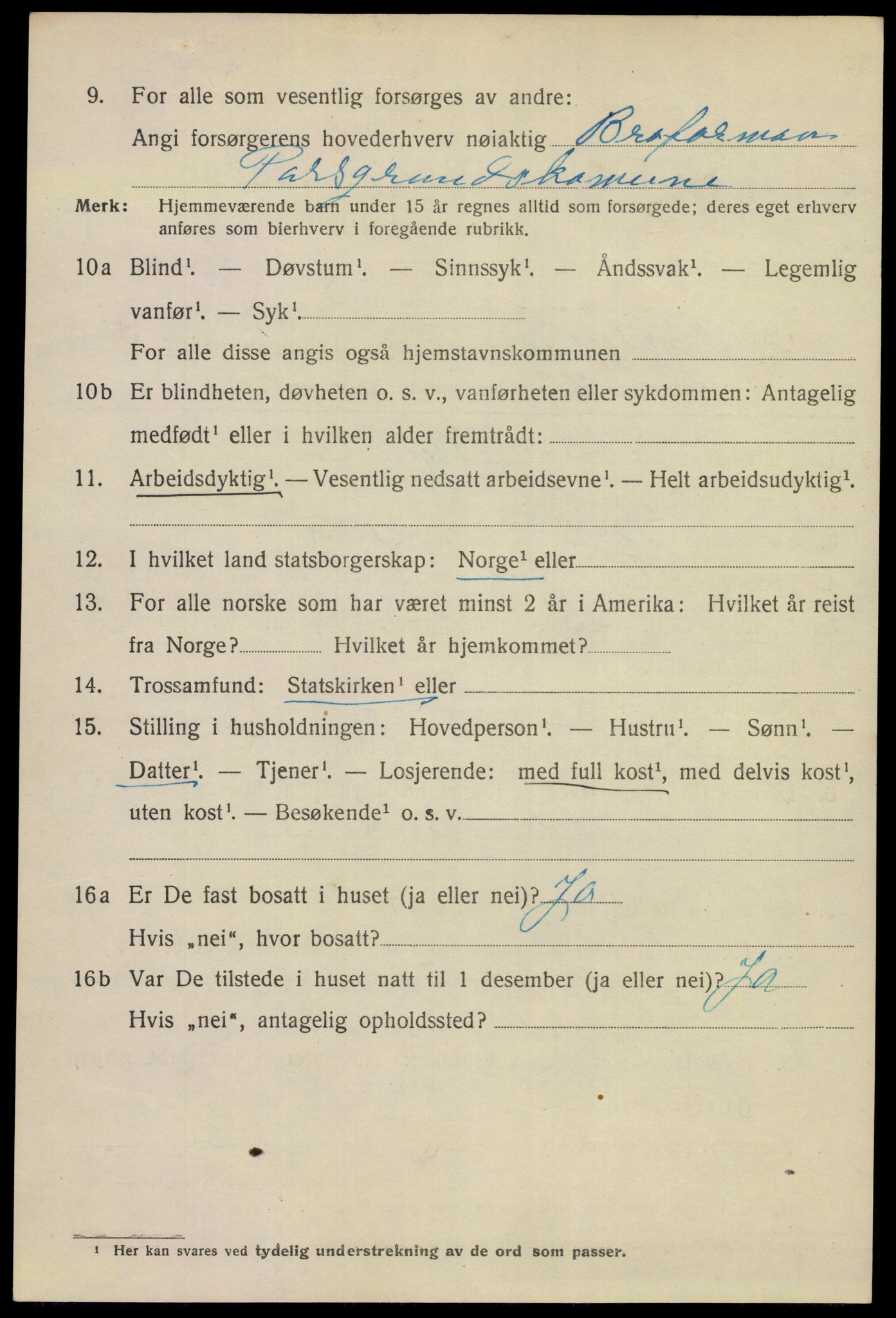 SAKO, 1920 census for Porsgrunn, 1920, p. 17336