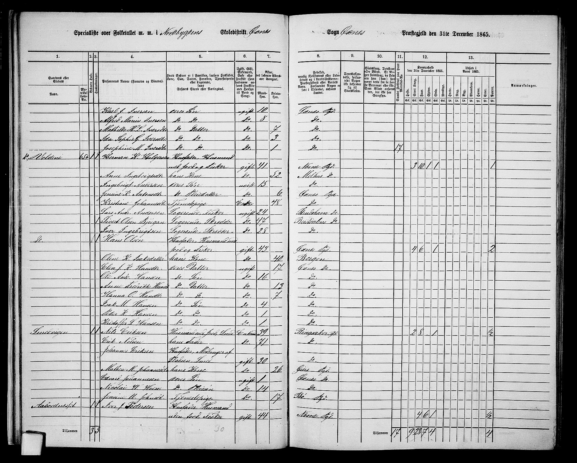 RA, 1865 census for Øksnes, 1865, p. 31