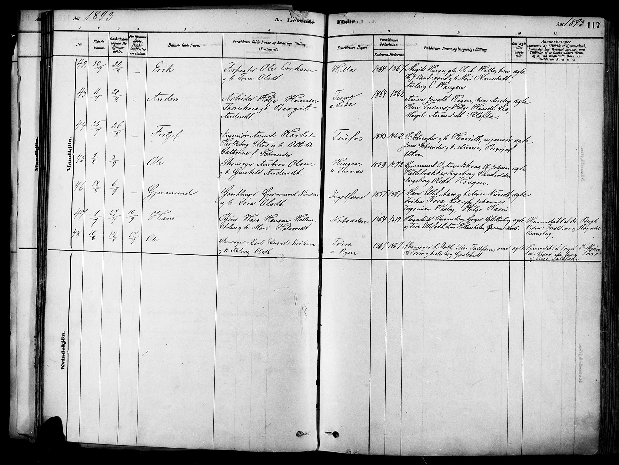 Heddal kirkebøker, SAKO/A-268/F/Fa/L0008: Parish register (official) no. I 8, 1878-1903, p. 117