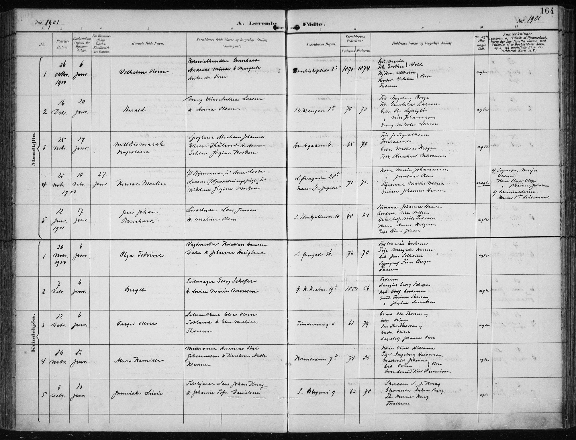 Korskirken sokneprestembete, SAB/A-76101/H/Hab: Parish register (copy) no. B 10, 1896-1905, p. 164
