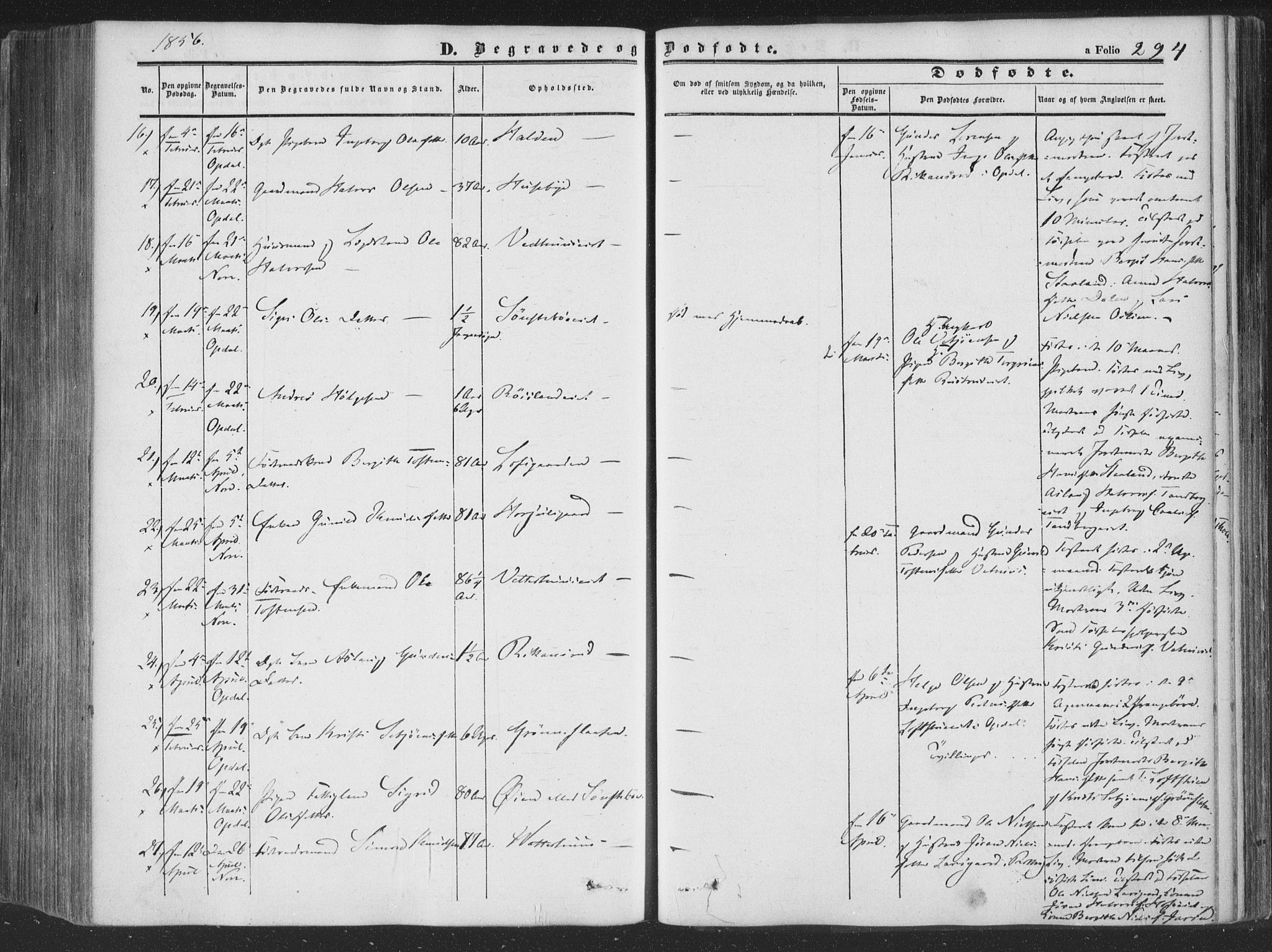 Rollag kirkebøker, AV/SAKO-A-240/F/Fa/L0008: Parish register (official) no. I 8, 1847-1860, p. 294