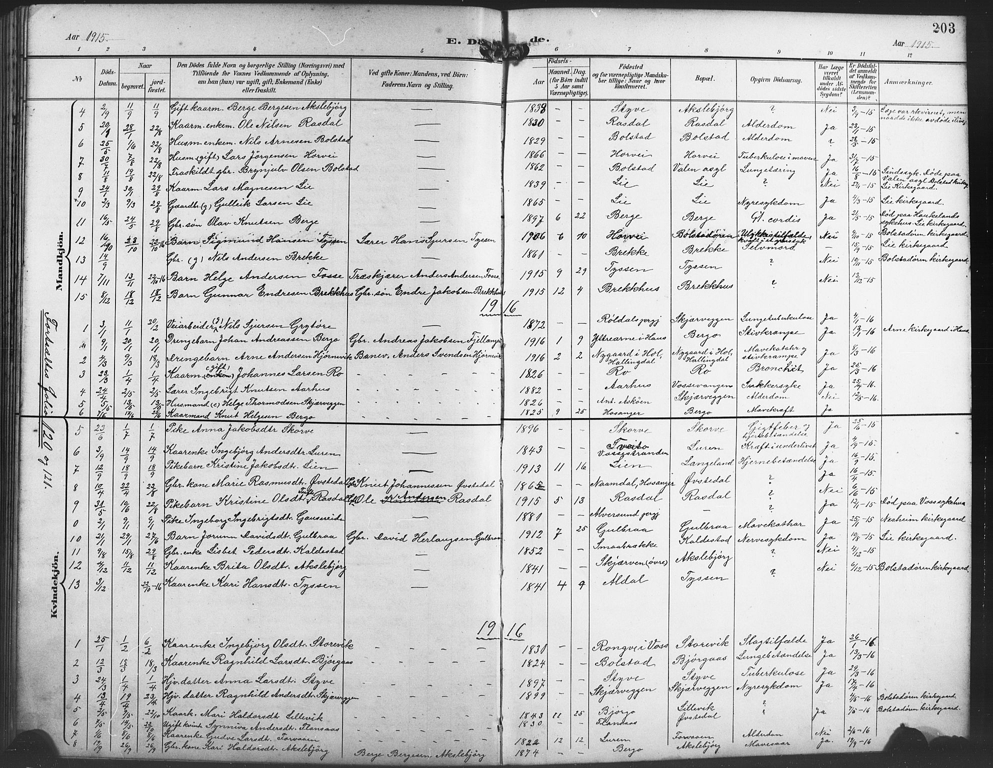 Evanger sokneprestembete, SAB/A-99924: Parish register (copy) no. A 5, 1897-1917, p. 203