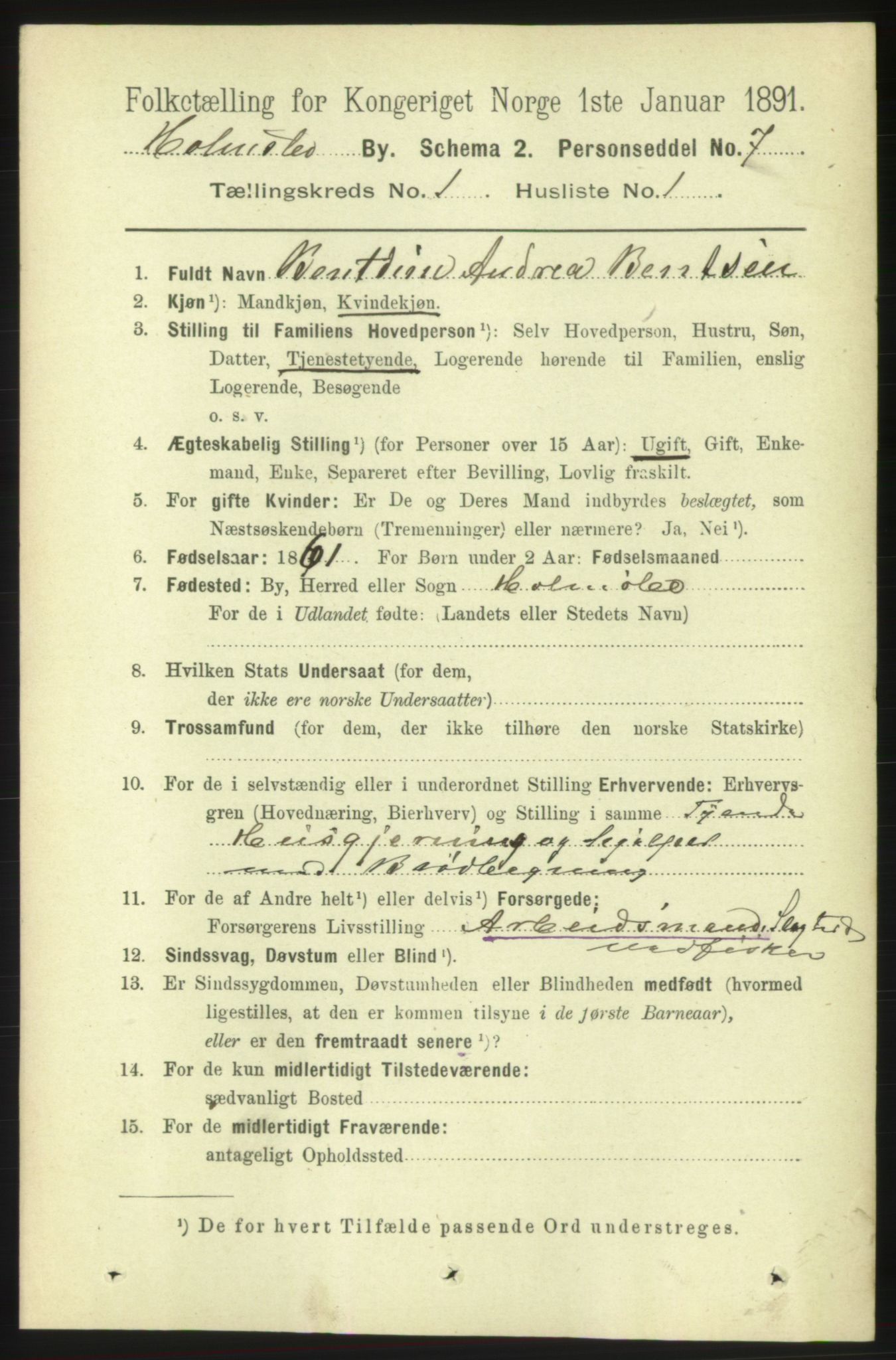 RA, 1891 census for 0603 Holmsbu, 1891, p. 212