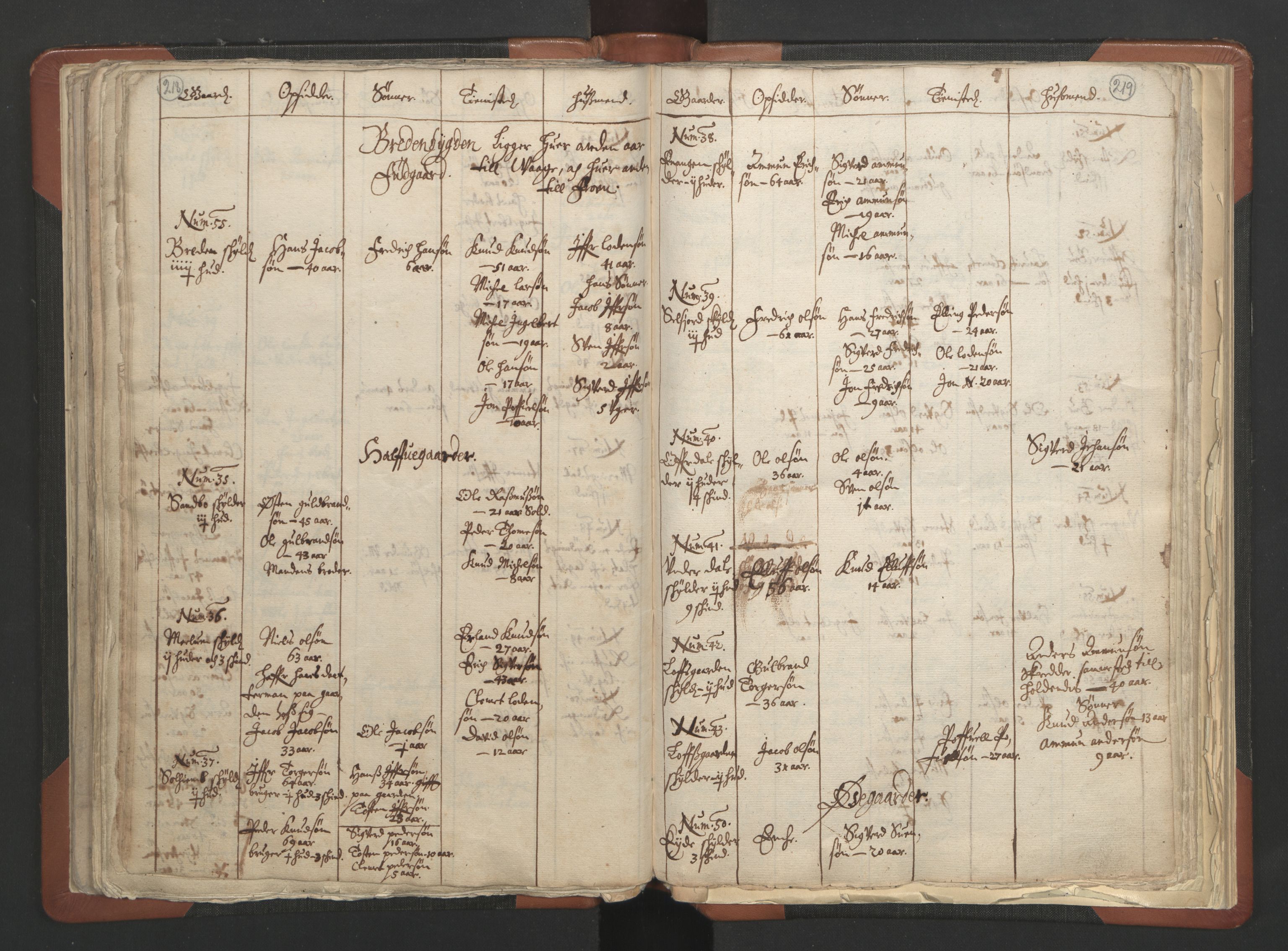 RA, Vicar's Census 1664-1666, no. 6: Gudbrandsdal deanery, 1664-1666, p. 218-219