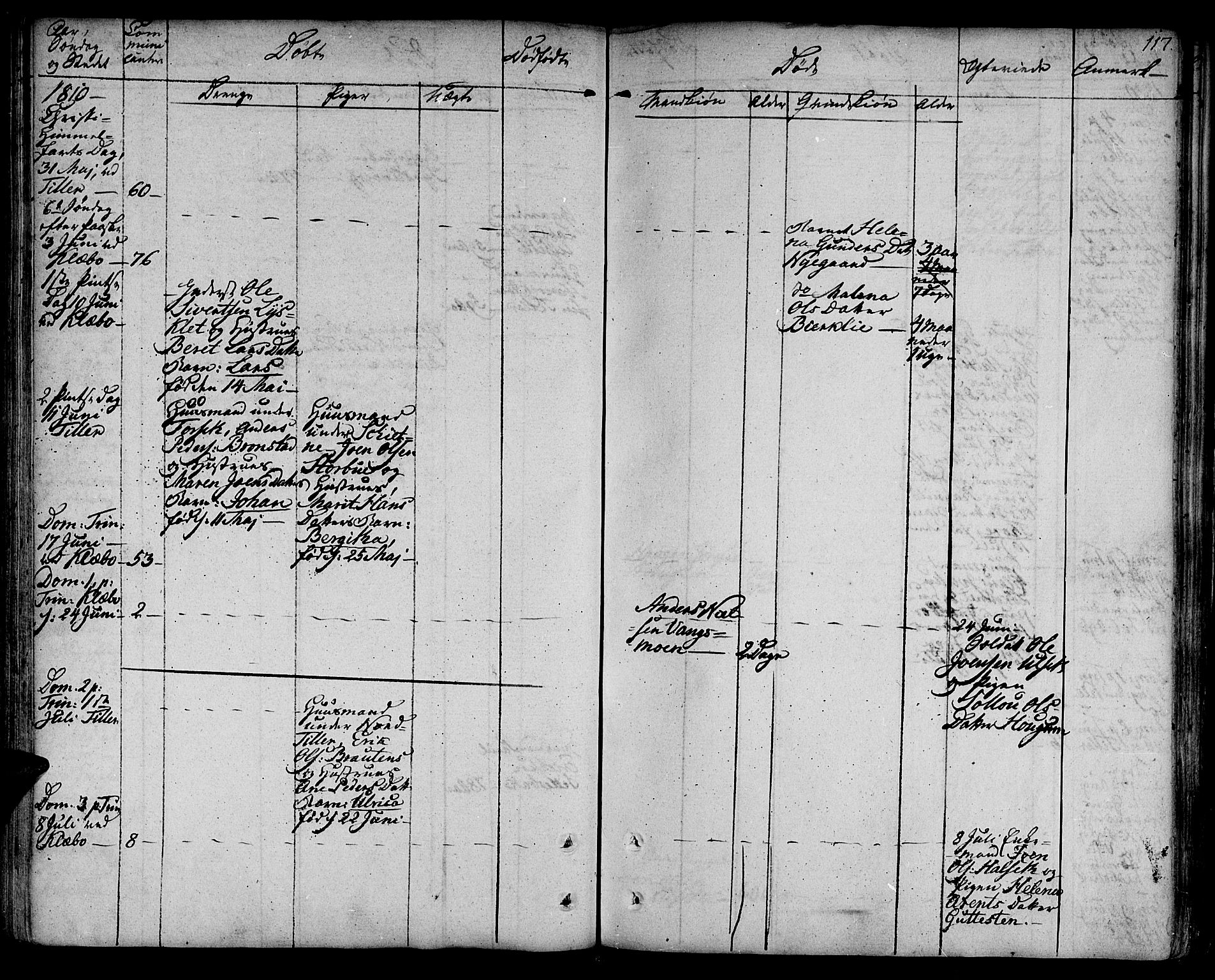 Ministerialprotokoller, klokkerbøker og fødselsregistre - Sør-Trøndelag, AV/SAT-A-1456/618/L0438: Parish register (official) no. 618A03, 1783-1815, p. 117