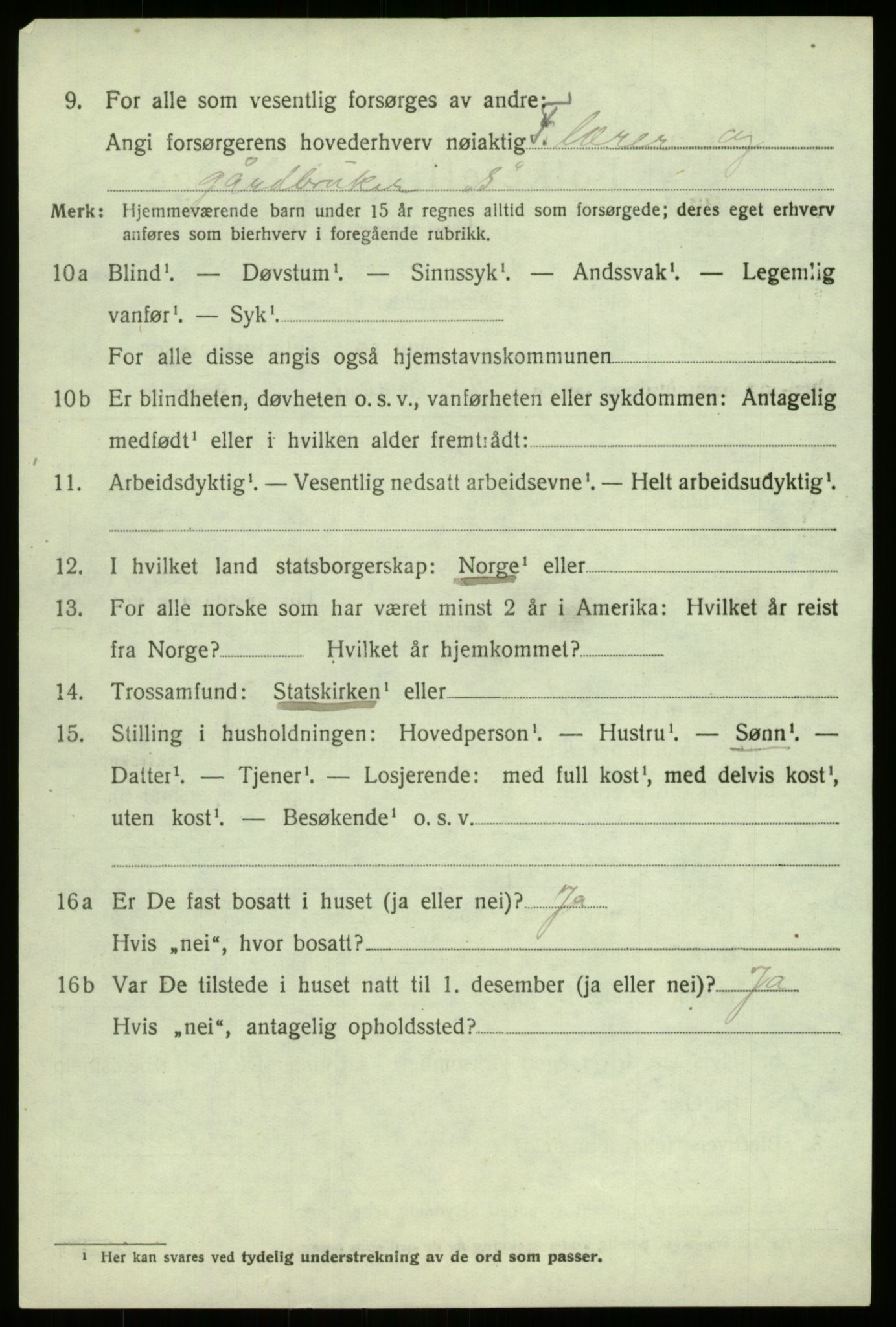 SAB, 1920 census for Hafslo, 1920, p. 5653