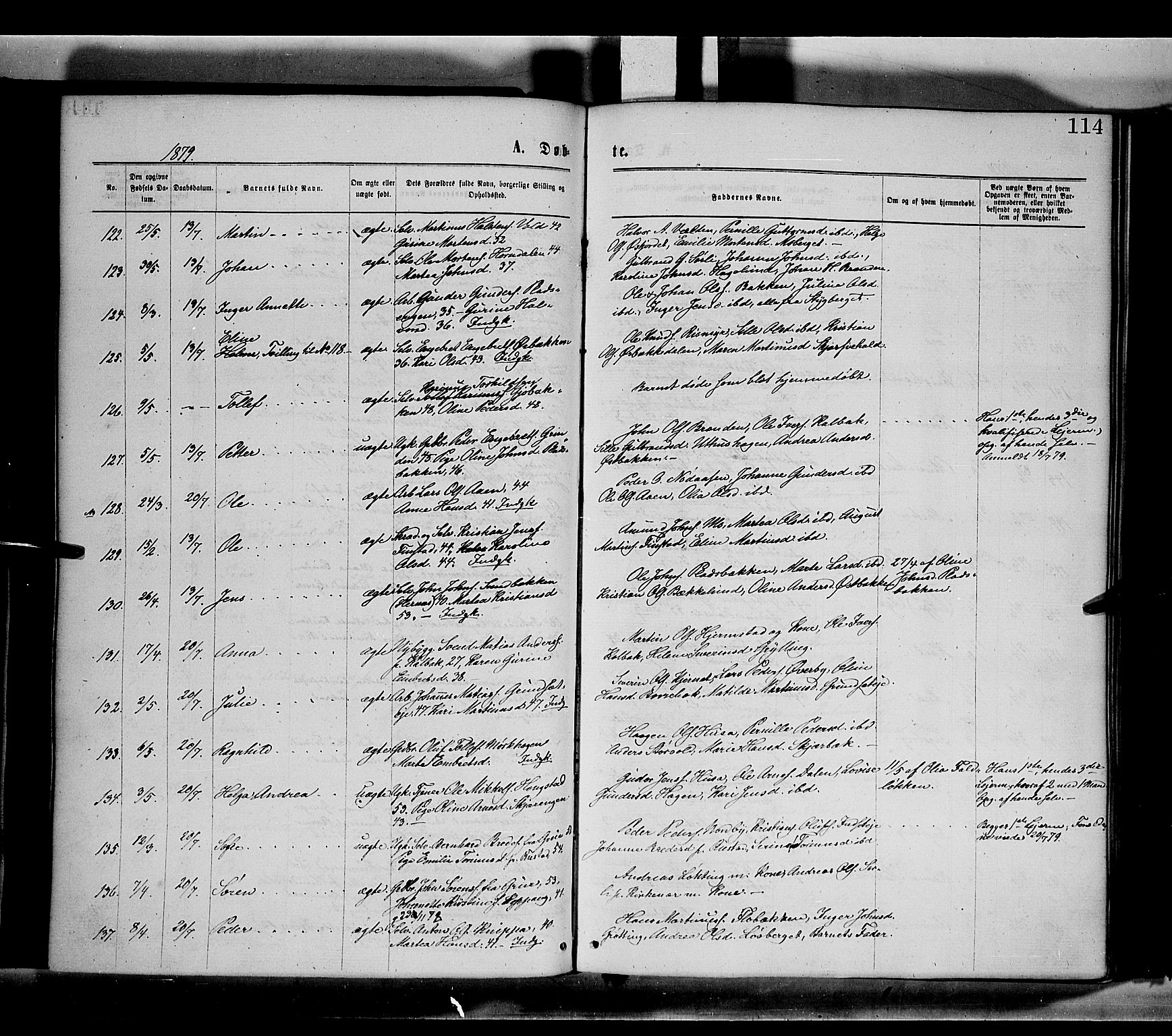Elverum prestekontor, SAH/PREST-044/H/Ha/Haa/L0011: Parish register (official) no. 11, 1869-1879, p. 114