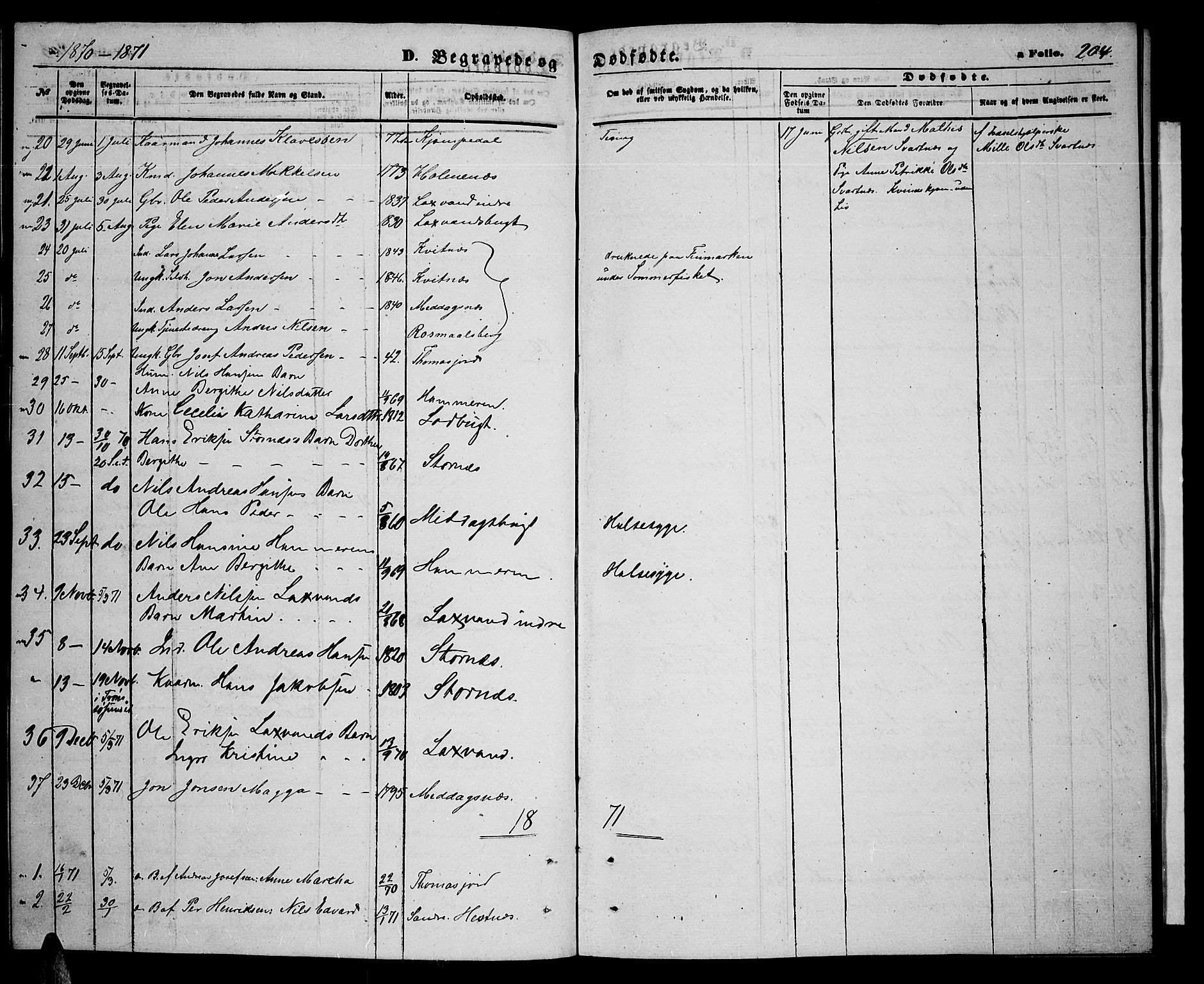 Balsfjord sokneprestembete, SATØ/S-1303/G/Ga/L0006klokker: Parish register (copy) no. 6, 1863-1878, p. 204