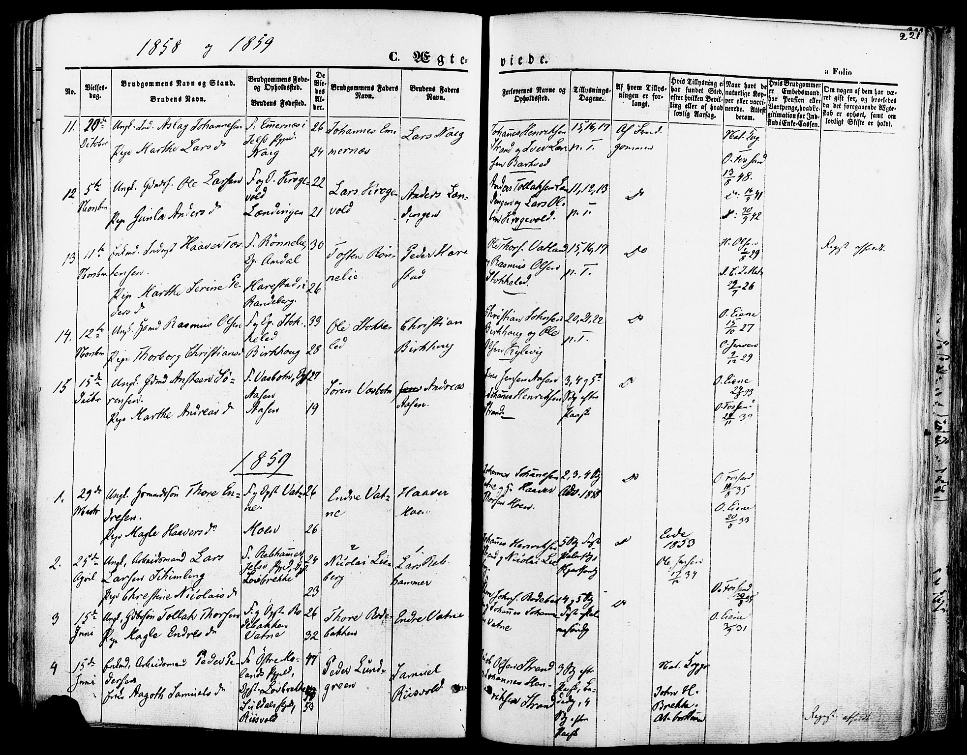 Strand sokneprestkontor, SAST/A-101828/H/Ha/Haa/L0007: Parish register (official) no. A 7, 1855-1881, p. 221