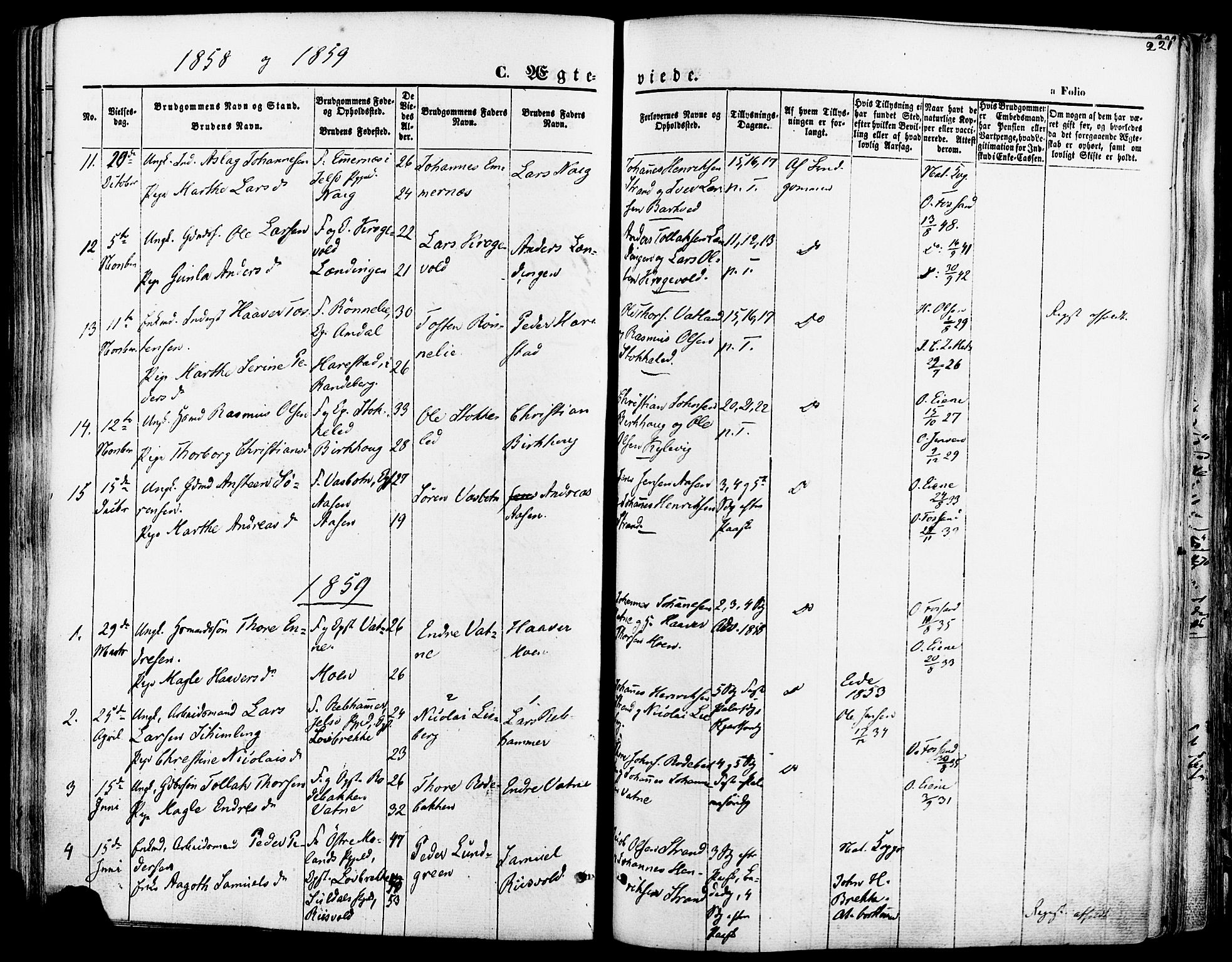 Strand sokneprestkontor, AV/SAST-A-101828/H/Ha/Haa/L0007: Parish register (official) no. A 7, 1855-1881, p. 221