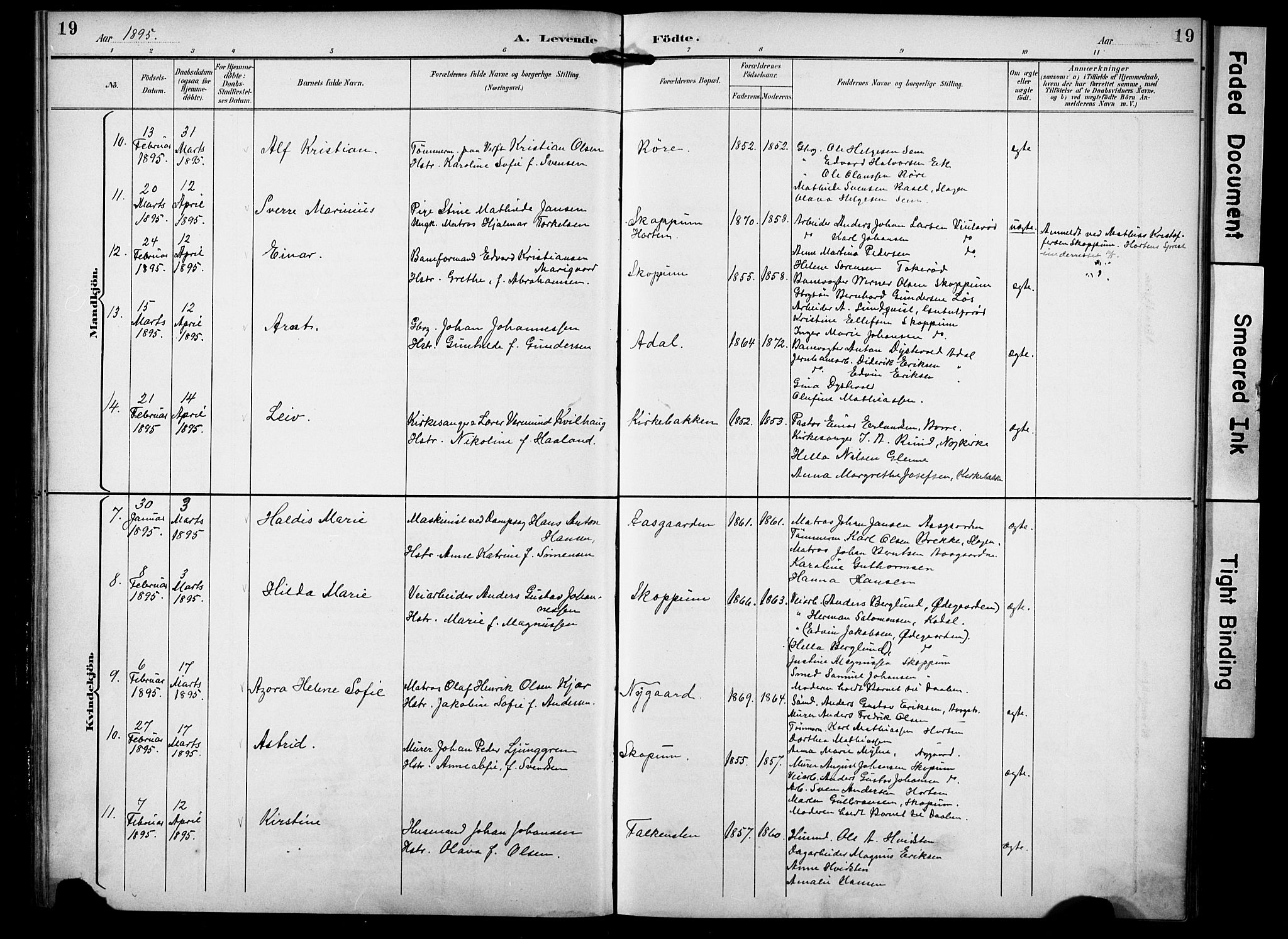 Borre kirkebøker, AV/SAKO-A-338/F/Fa/L0010: Parish register (official) no. I 10, 1892-1896, p. 19