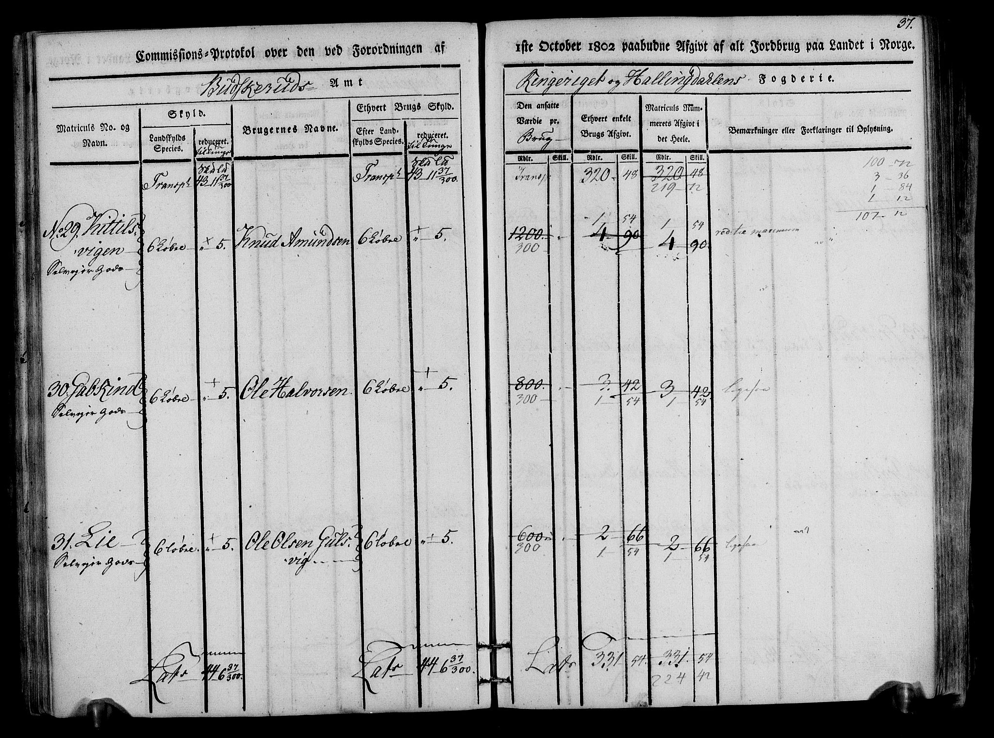 Rentekammeret inntil 1814, Realistisk ordnet avdeling, AV/RA-EA-4070/N/Ne/Nea/L0047: Ringerike og Hallingdal fogderi. Kommisjonsprotokoll for Nes prestegjeld, 1803, p. 39