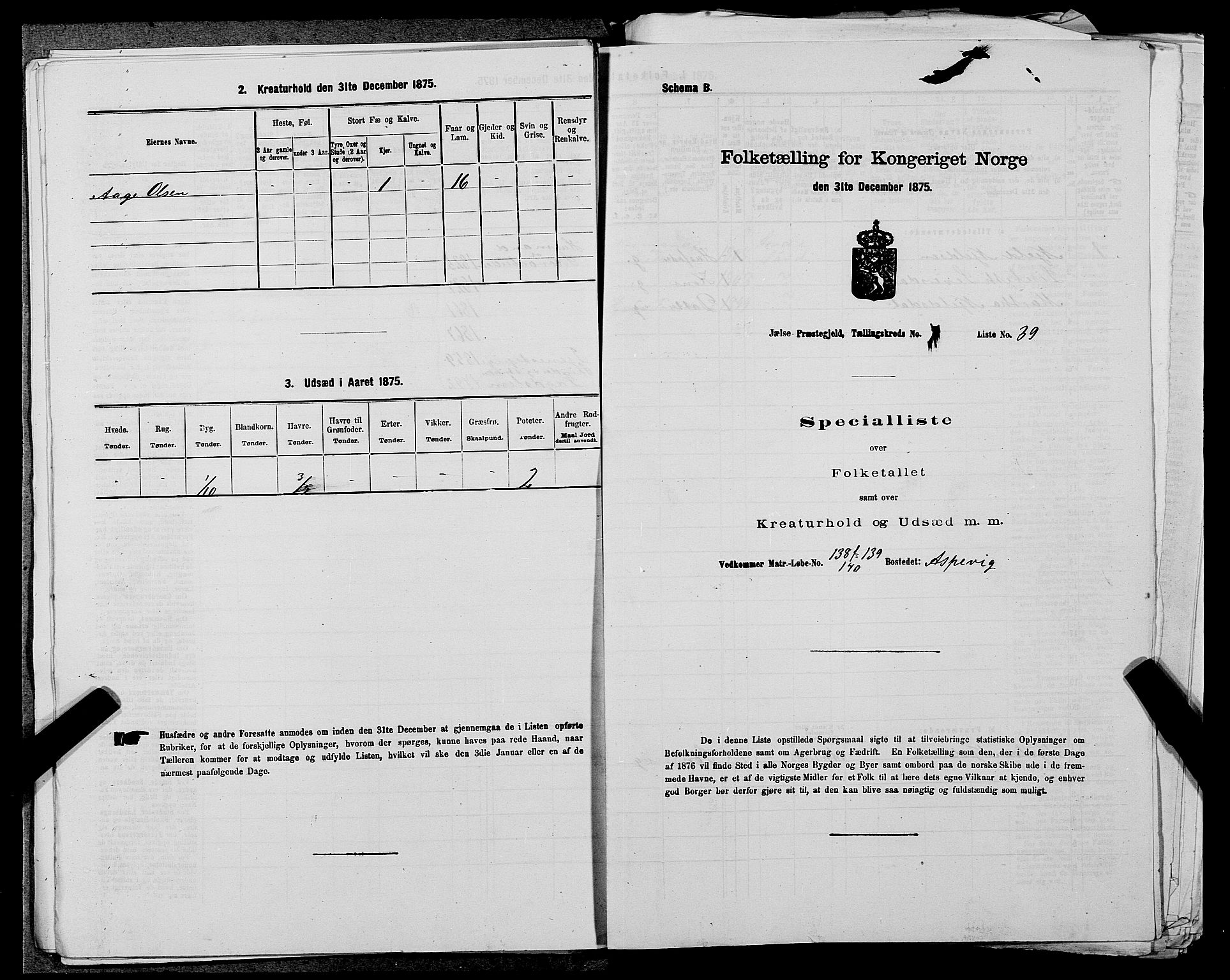 SAST, 1875 census for 1138P Jelsa, 1875, p. 665