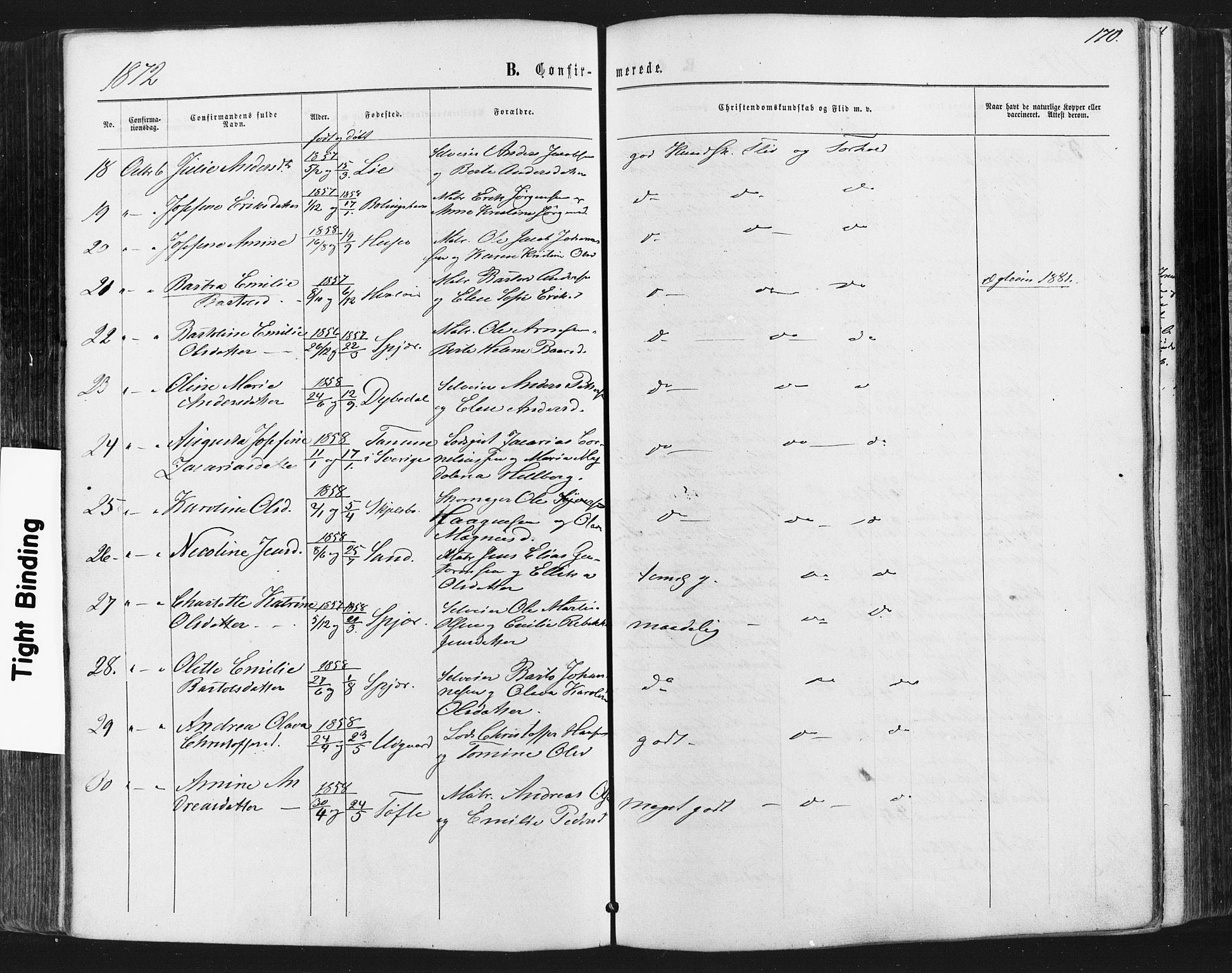 Hvaler prestekontor Kirkebøker, AV/SAO-A-2001/F/Fa/L0007: Parish register (official) no. I 7, 1864-1878, p. 170