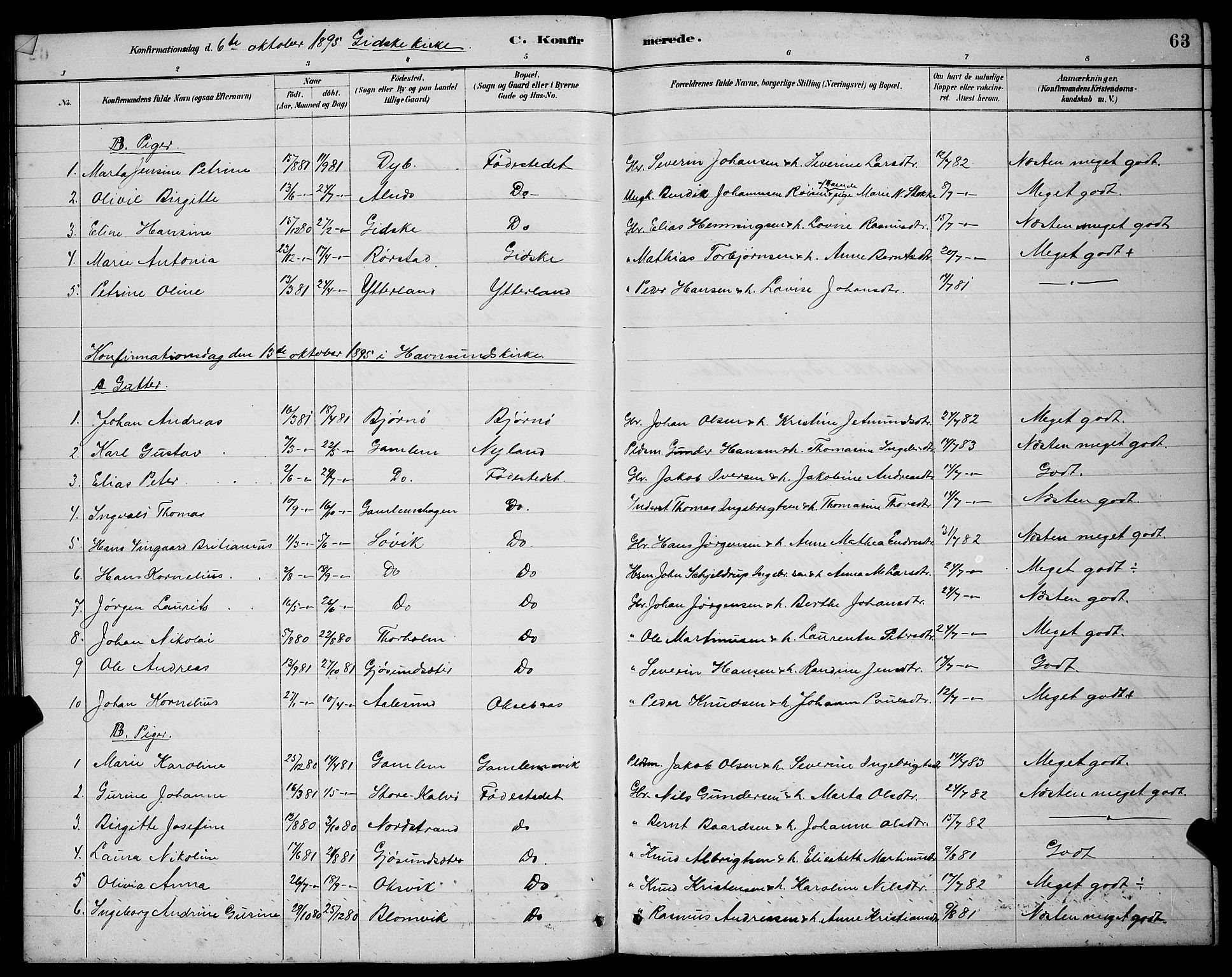 Ministerialprotokoller, klokkerbøker og fødselsregistre - Møre og Romsdal, AV/SAT-A-1454/528/L0430: Parish register (copy) no. 528C11, 1884-1899, p. 63