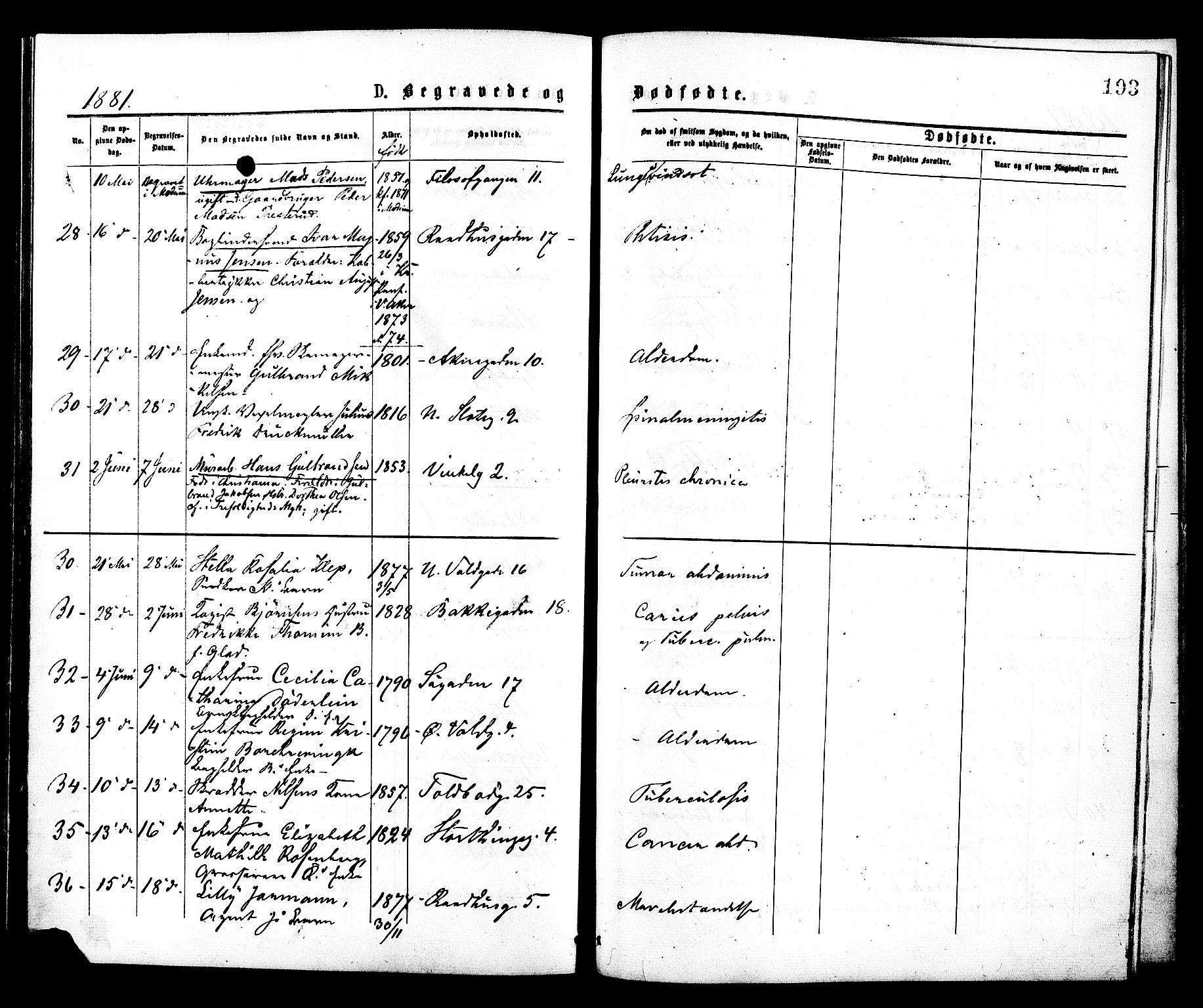 Johannes prestekontor Kirkebøker, SAO/A-10852/F/Fa/L0002: Parish register (official) no. 2, 1875-1882, p. 193