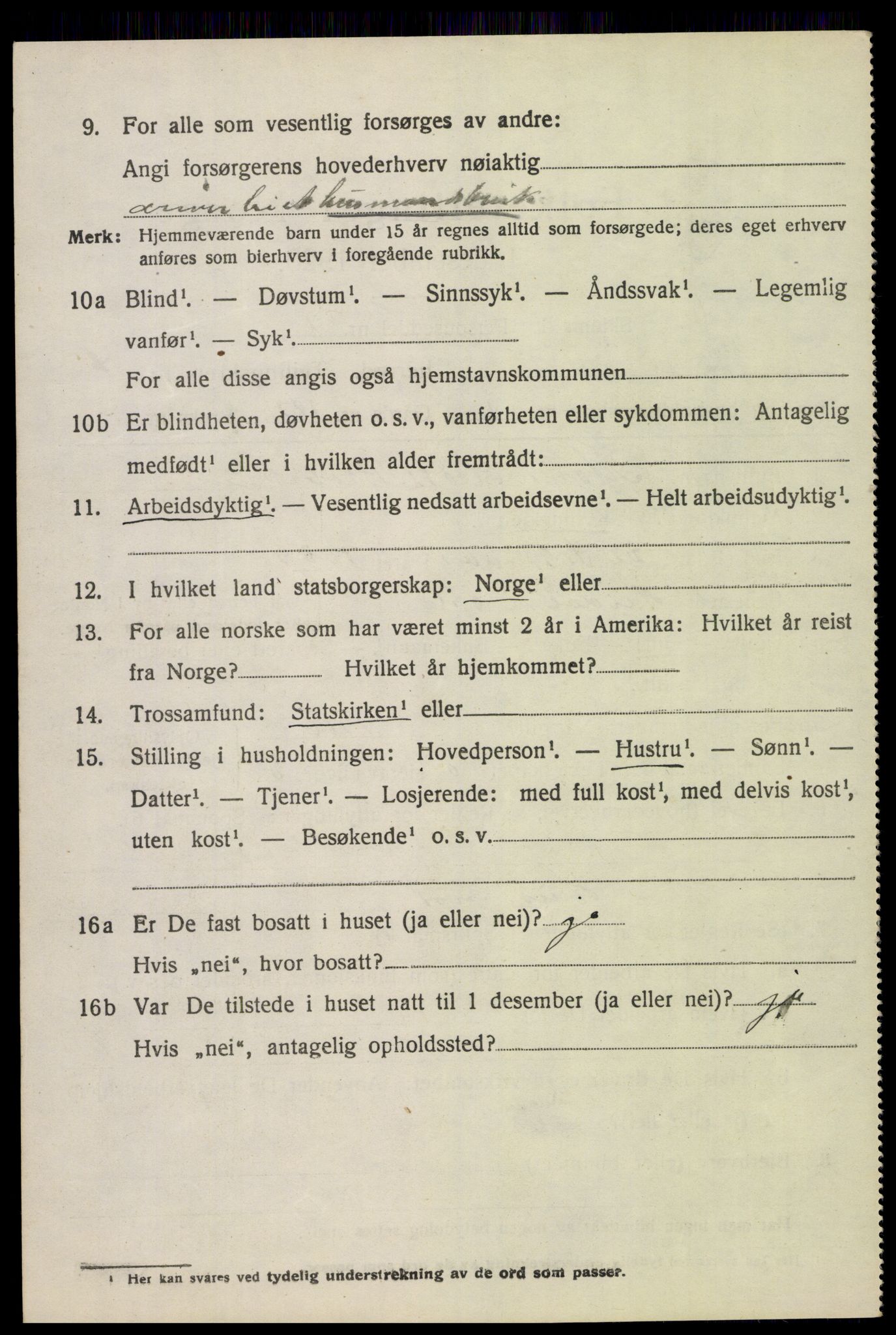 SAH, 1920 census for Heidal, 1920, p. 2025