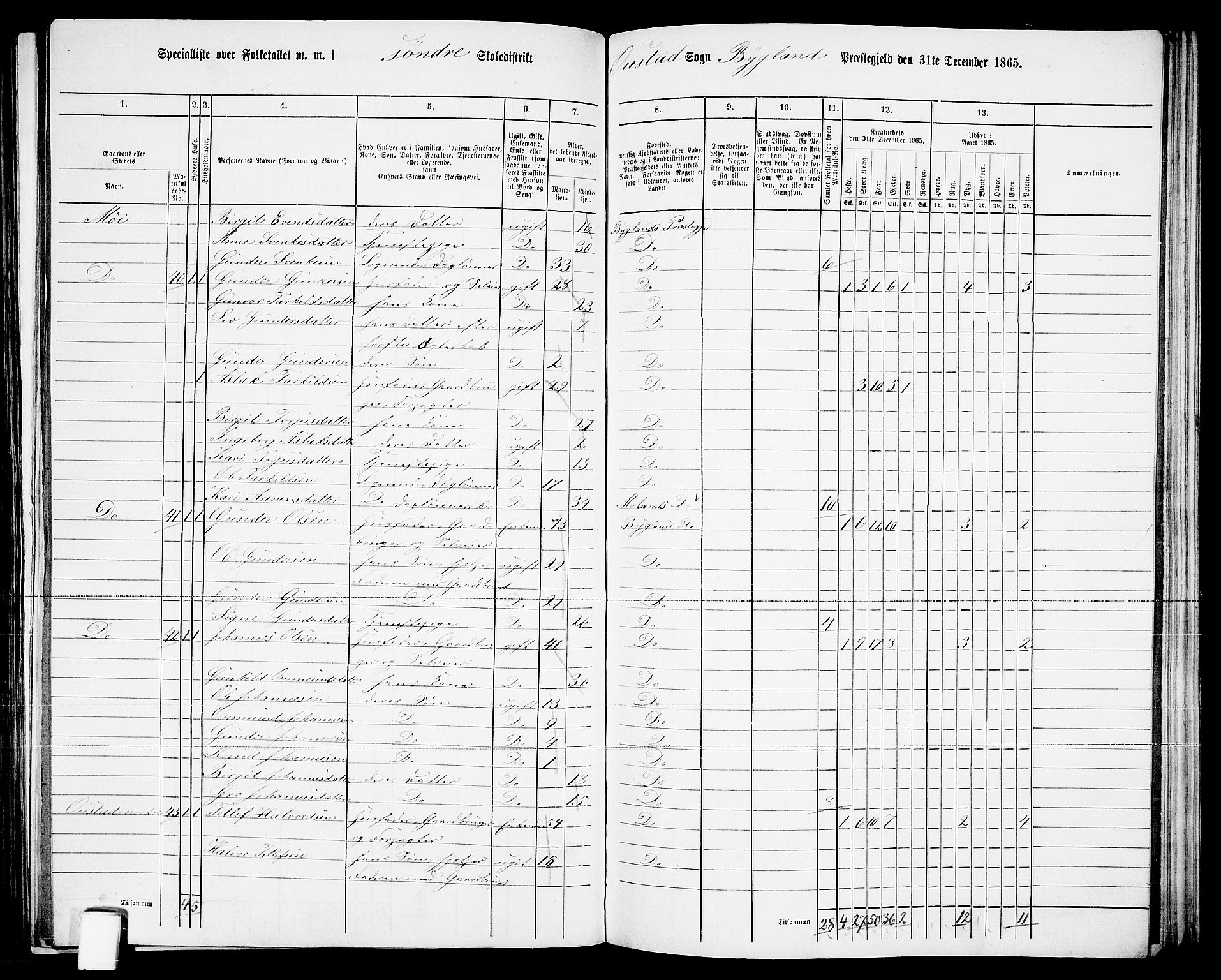 RA, 1865 census for Bygland, 1865, p. 24