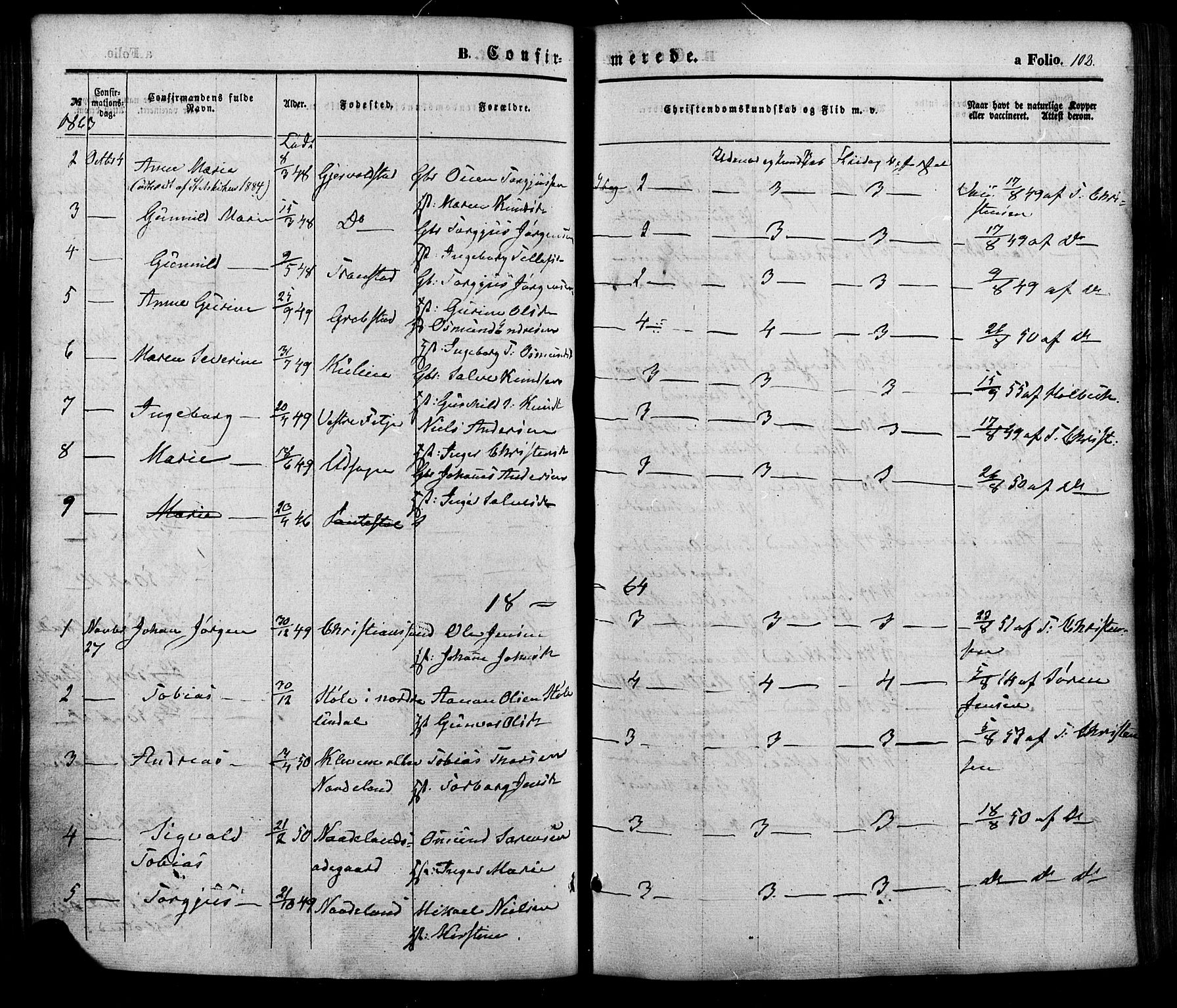 Søgne sokneprestkontor, SAK/1111-0037/F/Fa/Faa/L0002: Parish register (official) no. A 2, 1854-1882, p. 102