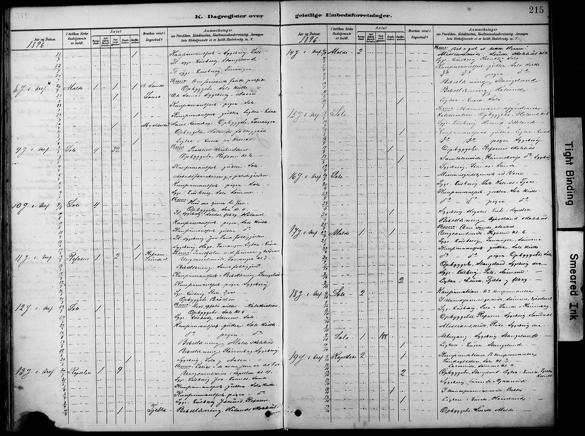 Håland sokneprestkontor, AV/SAST-A-101802/001/30BA/L0012: Parish register (official) no. A 11, 1889-1900, p. 215