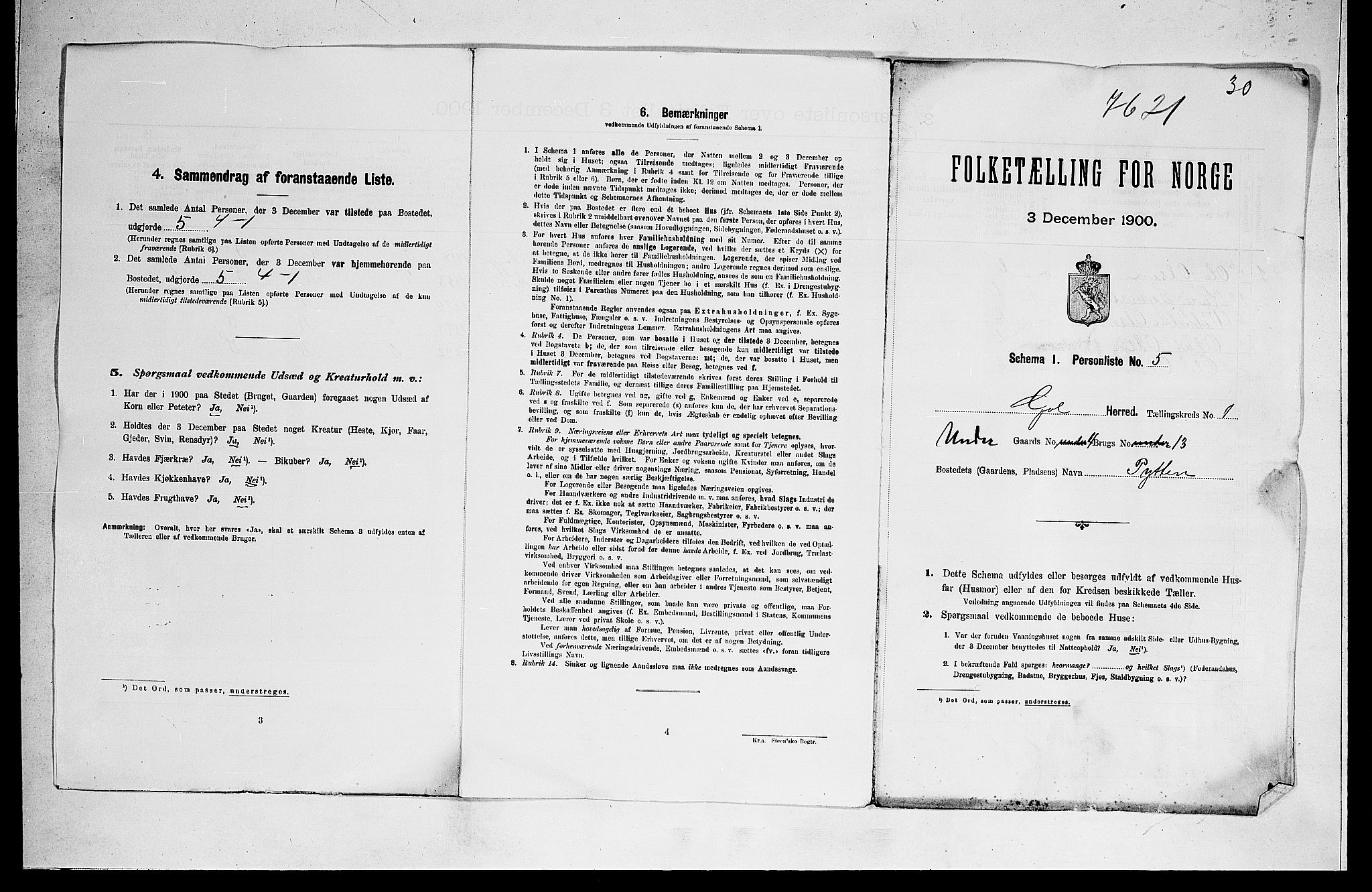 RA, 1900 census for Gol, 1900, p. 29