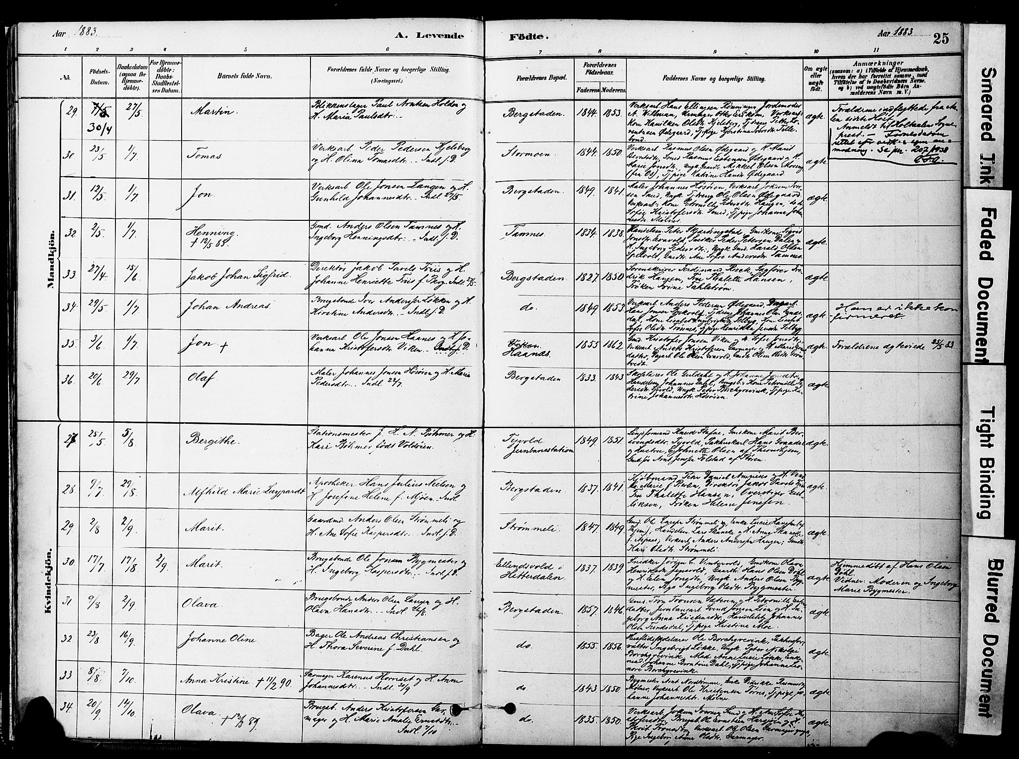 Ministerialprotokoller, klokkerbøker og fødselsregistre - Sør-Trøndelag, AV/SAT-A-1456/681/L0933: Parish register (official) no. 681A11, 1879-1890, p. 25