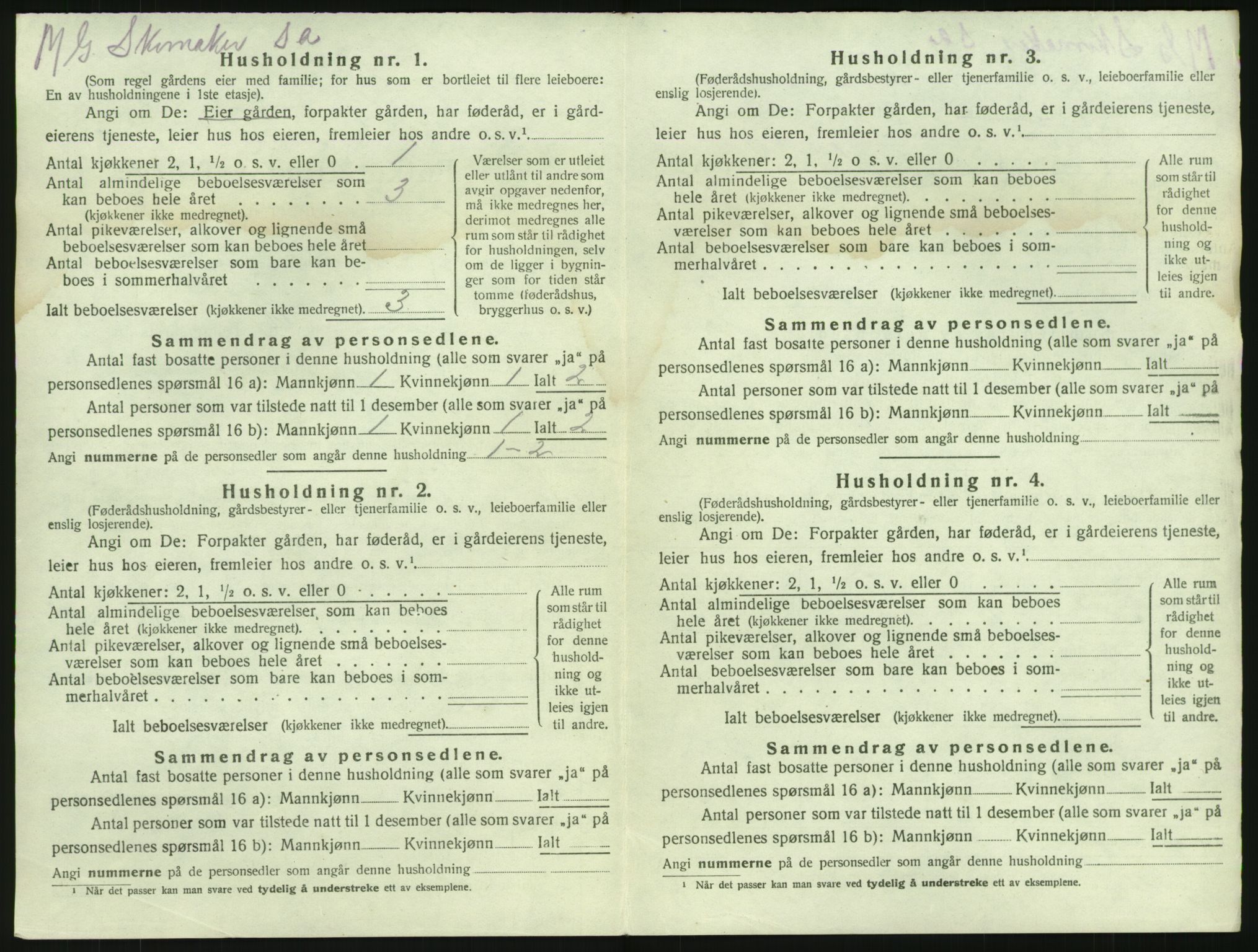 SAKO, 1920 census for Brunlanes, 1920, p. 1482