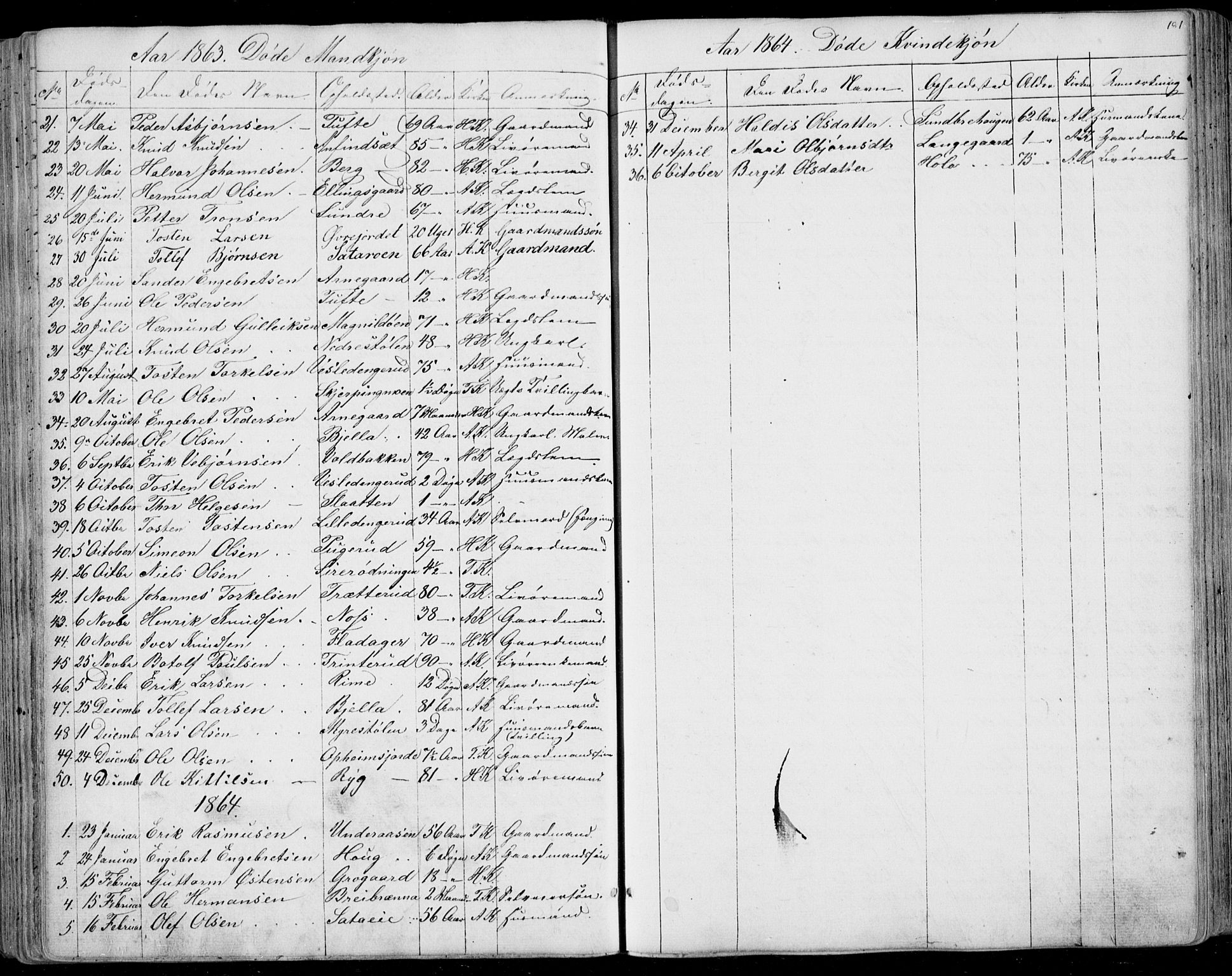 Ål kirkebøker, SAKO/A-249/F/Fa/L0006: Parish register (official) no. I 6, 1849-1864, p. 181