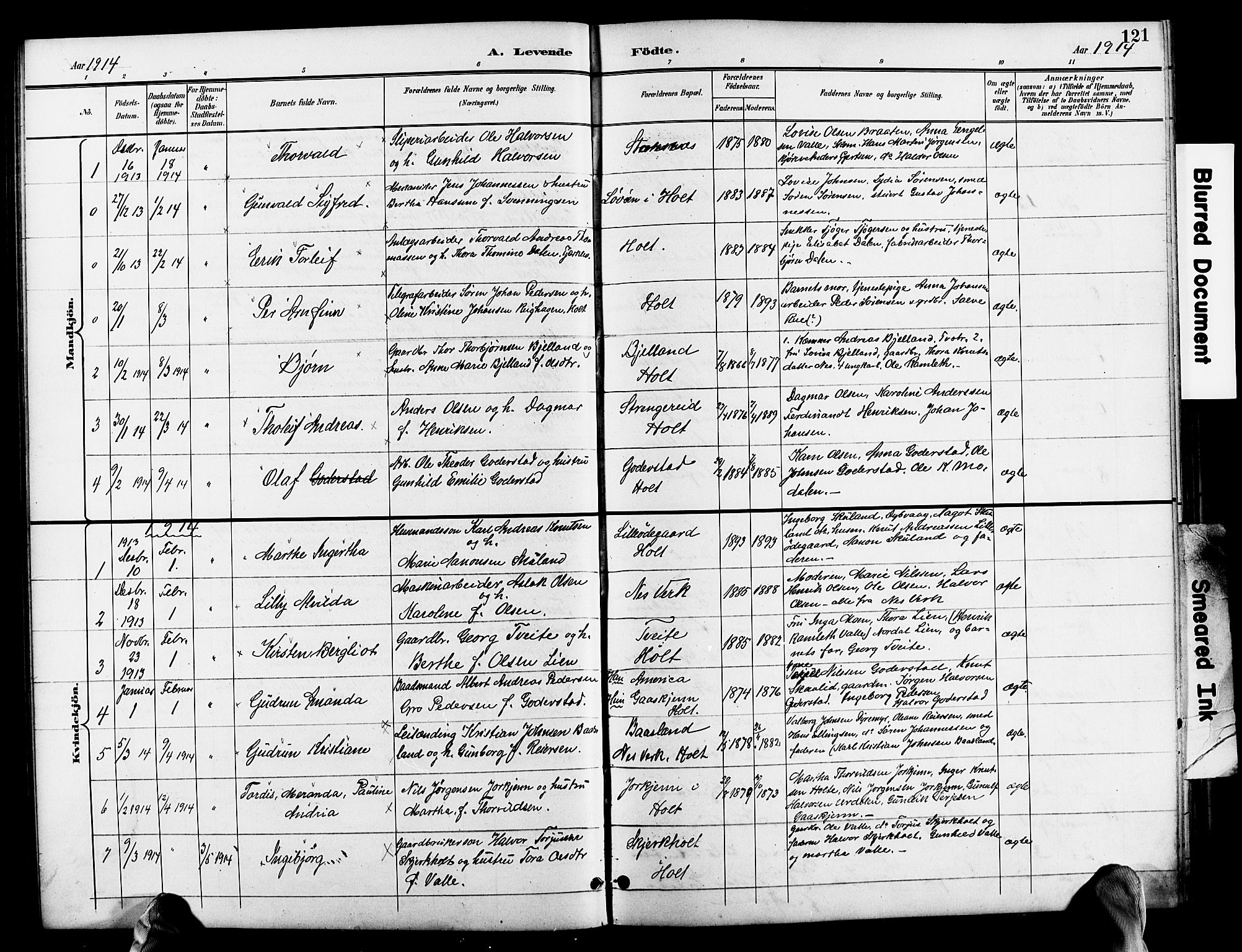 Holt sokneprestkontor, SAK/1111-0021/F/Fb/L0011: Parish register (copy) no. B 11, 1897-1921, p. 121