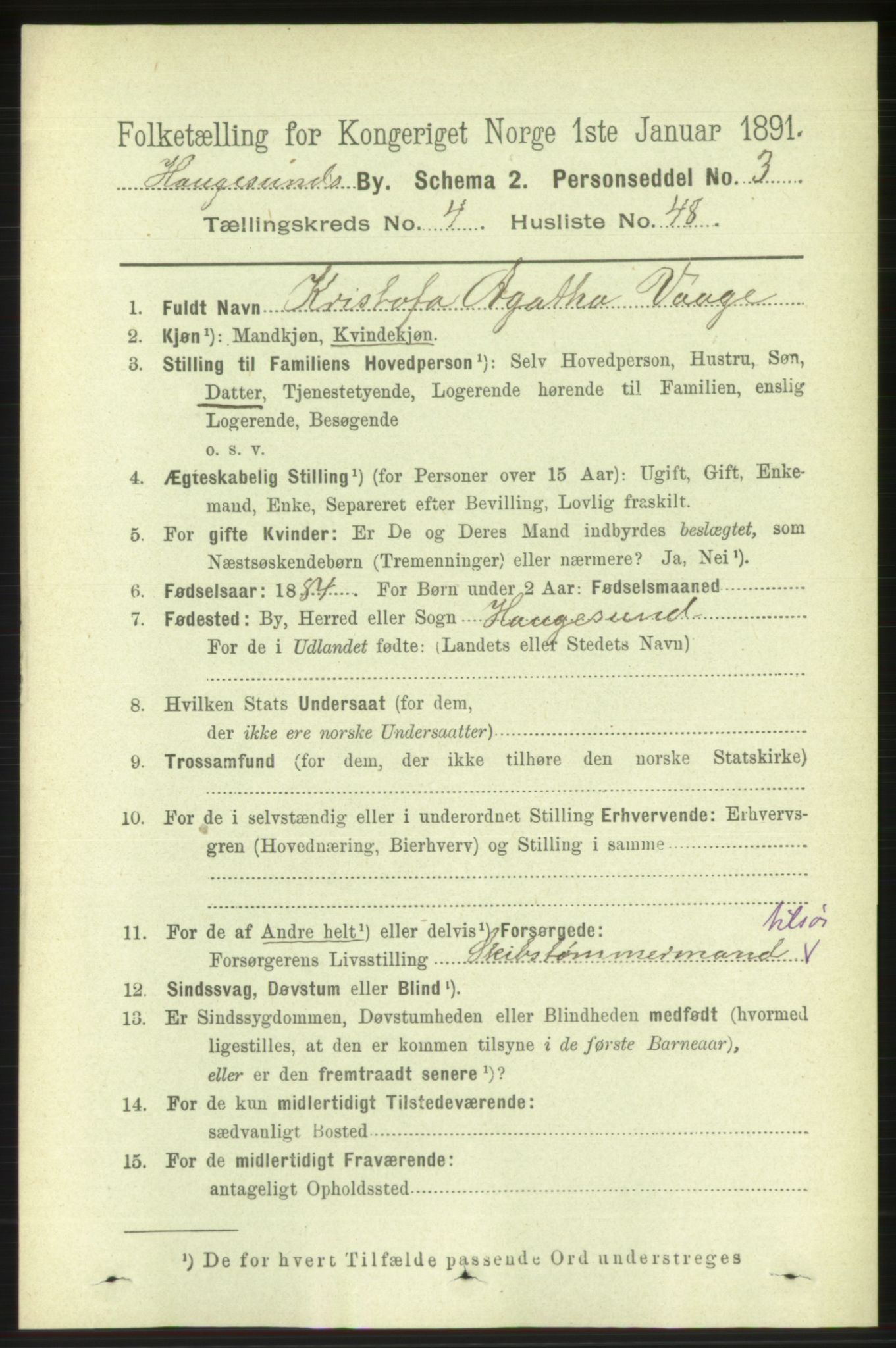 RA, 1891 census for 1106 Haugesund, 1891, p. 1845