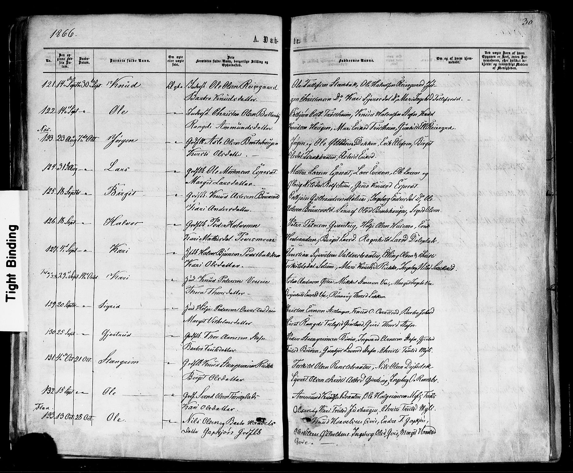 Nes kirkebøker, AV/SAKO-A-236/F/Fa/L0010: Parish register (official) no. 10, 1864-1880, p. 30