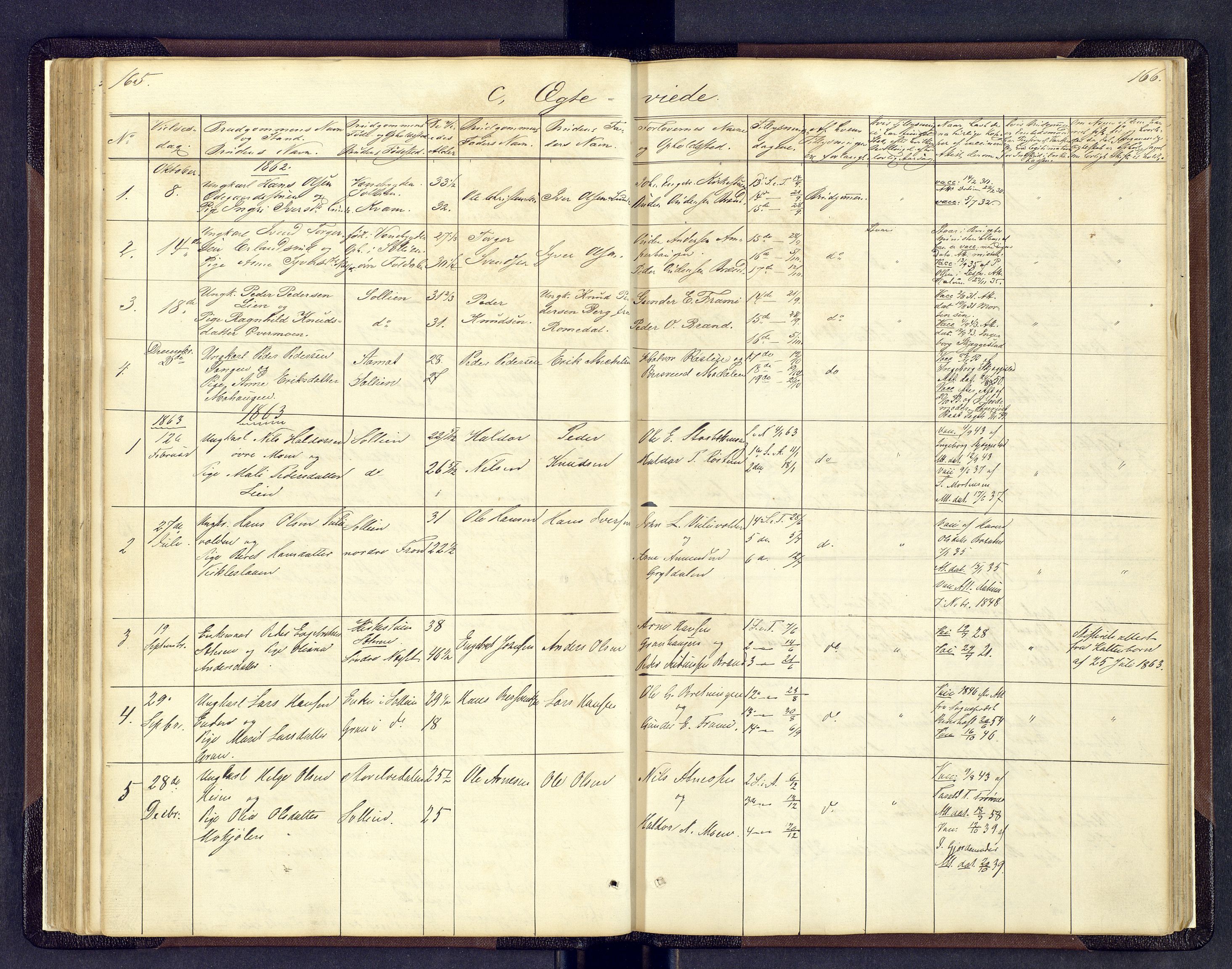 Sollia prestekontor, SAH/PREST-050/H/Ha/Hab/L0001: Parish register (copy) no. 1, 1862-1879, p. 165-166