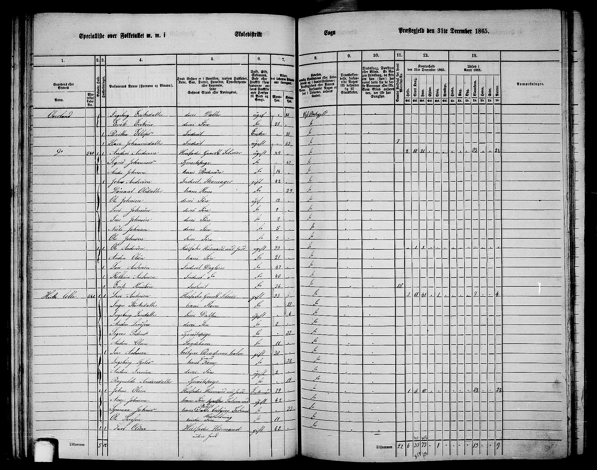 RA, 1865 census for Voss, 1865, p. 293