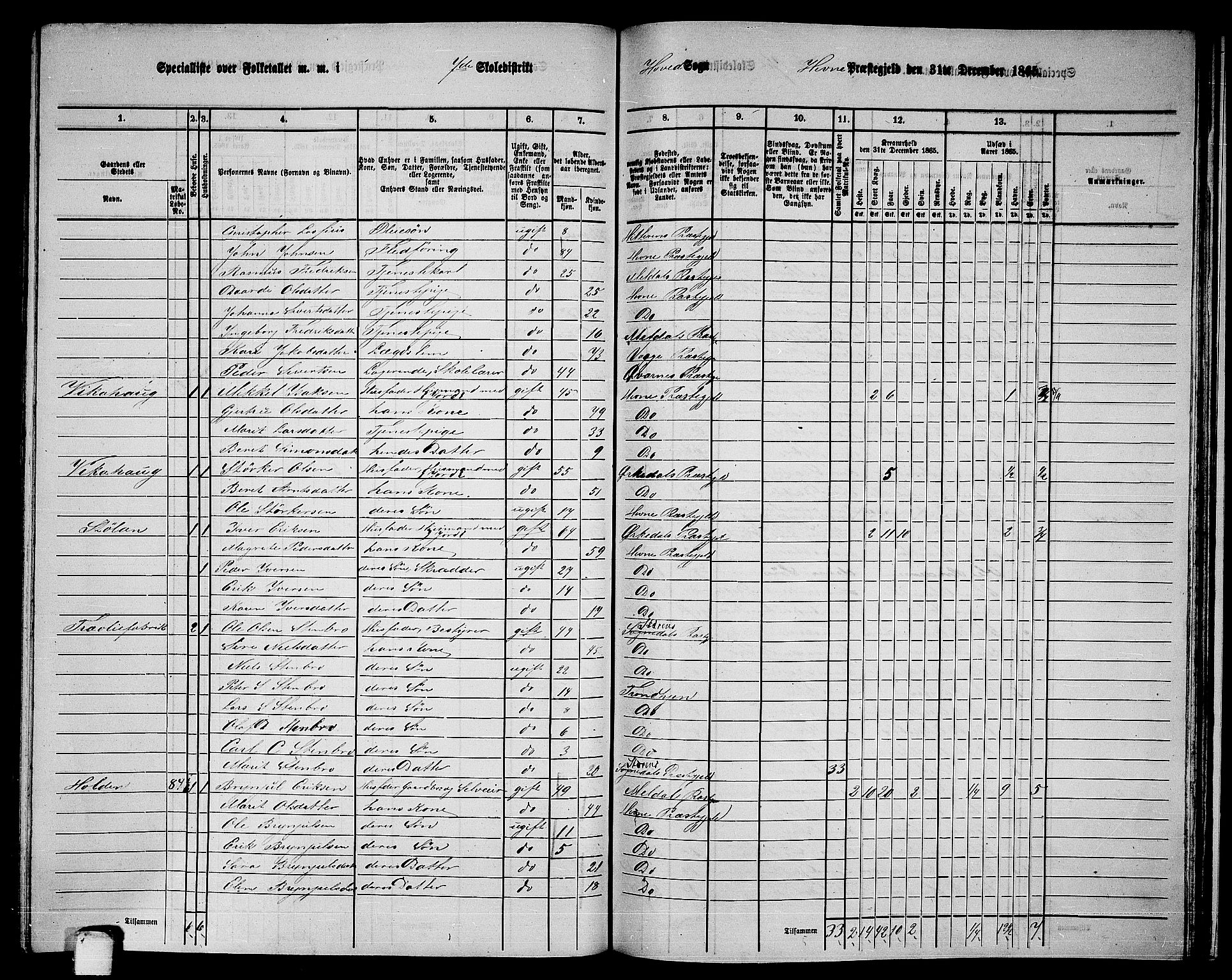 RA, 1865 census for Hemne, 1865, p. 162