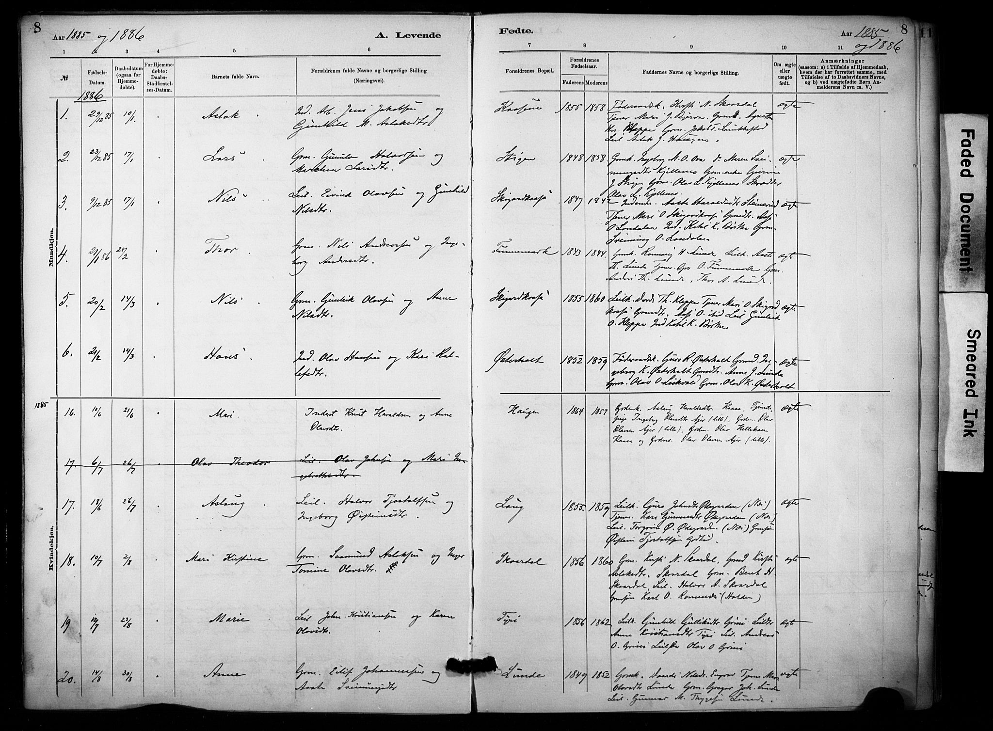Lunde kirkebøker, SAKO/A-282/F/Fa/L0002: Parish register (official) no. I 2, 1884-1892, p. 8