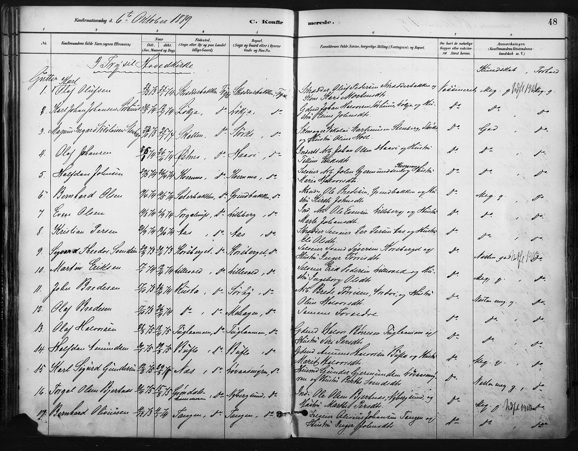 Trysil prestekontor, AV/SAH-PREST-046/H/Ha/Haa/L0009: Parish register (official) no. 9, 1881-1897, p. 48