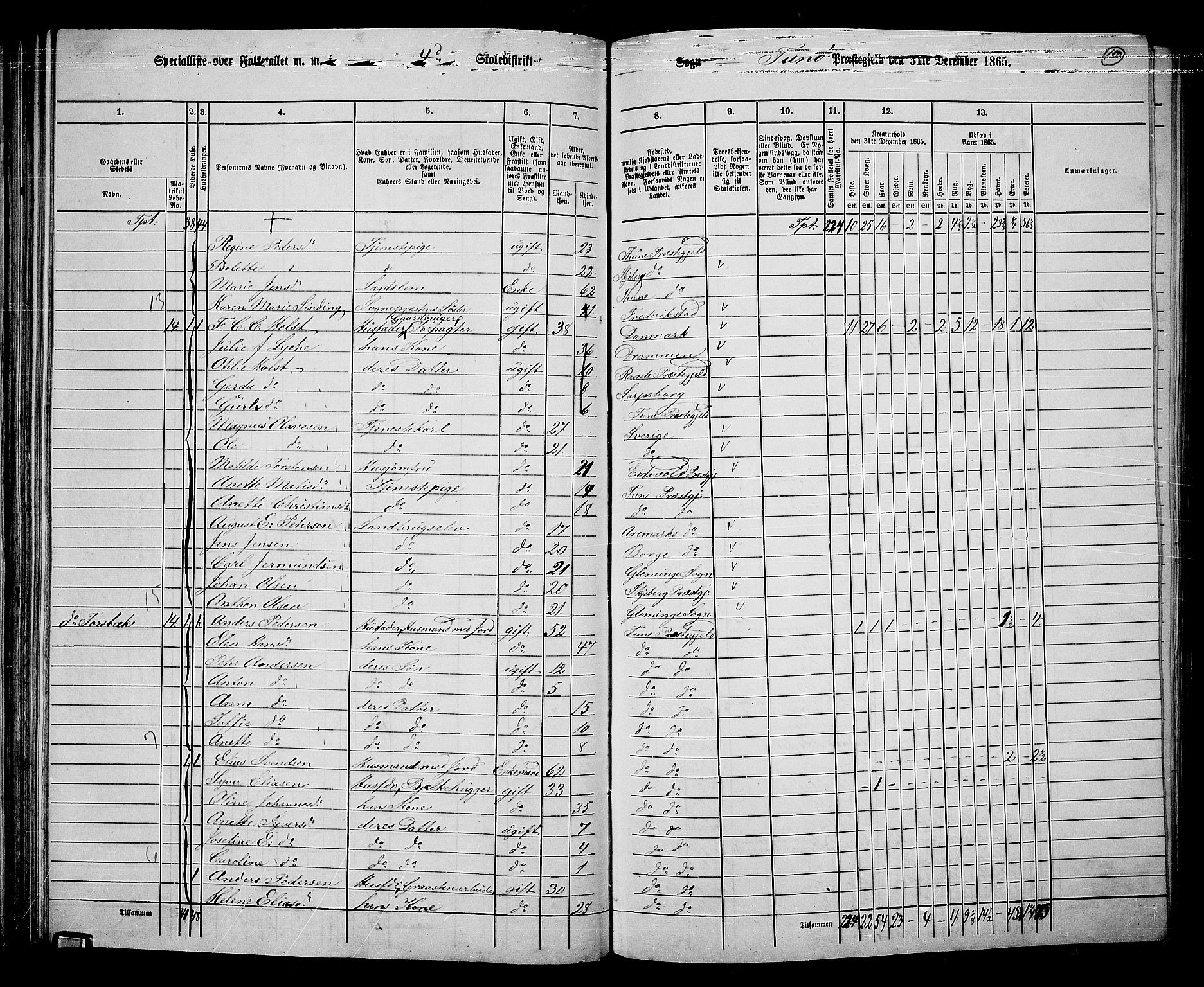 RA, 1865 census for Tune, 1865, p. 103