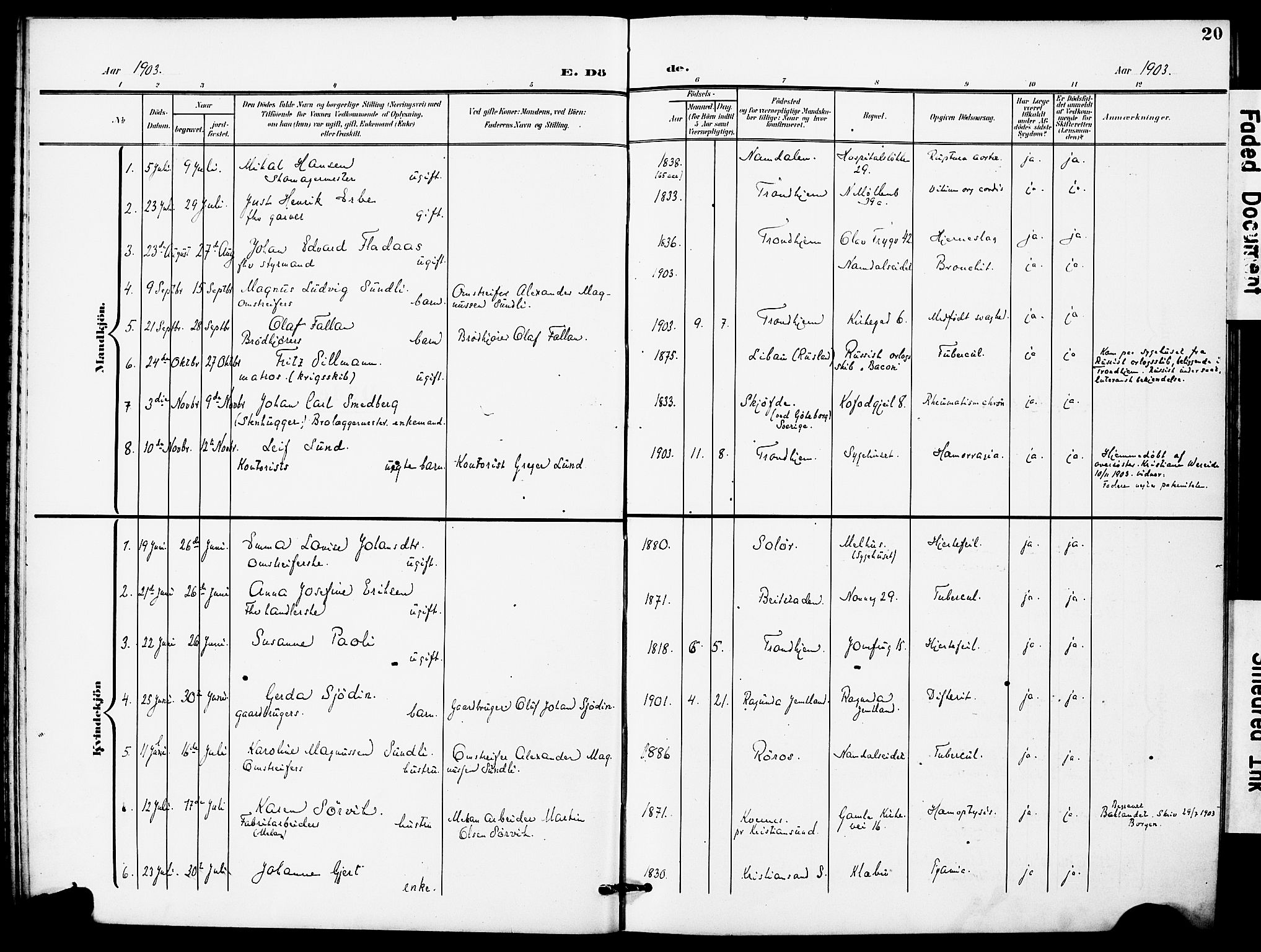 Ministerialprotokoller, klokkerbøker og fødselsregistre - Sør-Trøndelag, AV/SAT-A-1456/628/L0483: Parish register (official) no. 628A01, 1902-1920, p. 20