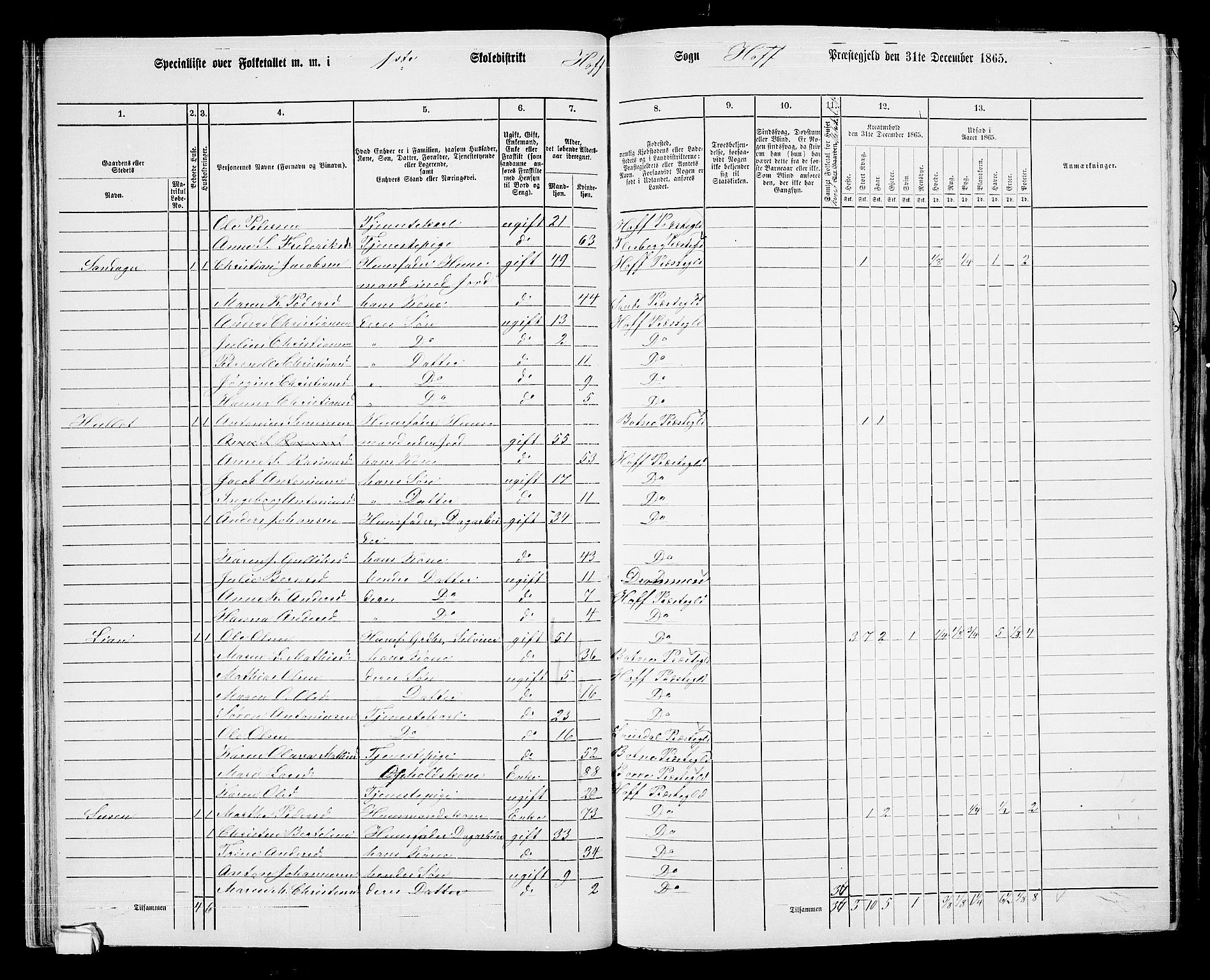 RA, 1865 census for Hof, 1865, p. 35