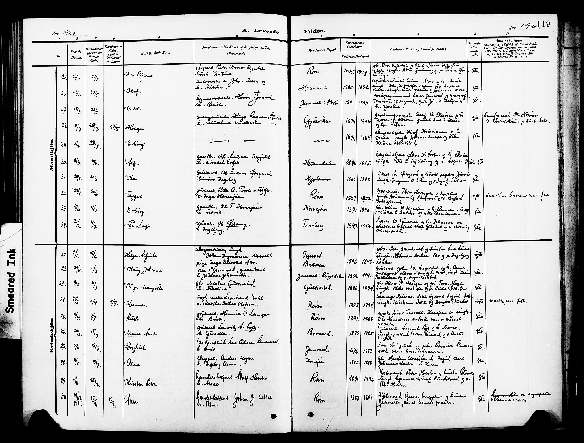 Ministerialprotokoller, klokkerbøker og fødselsregistre - Sør-Trøndelag, AV/SAT-A-1456/681/L0942: Parish register (copy) no. 681C06, 1906-1925, p. 119