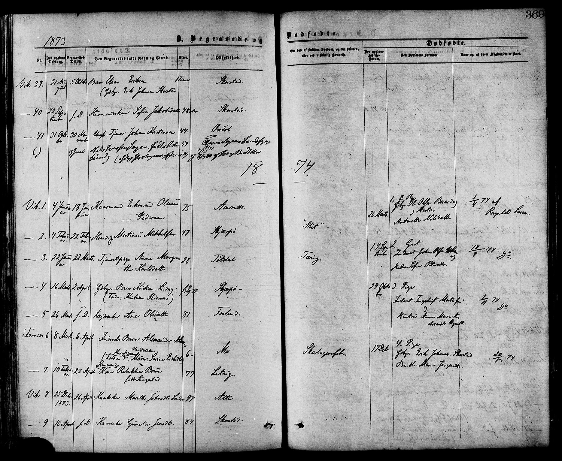 Ministerialprotokoller, klokkerbøker og fødselsregistre - Nord-Trøndelag, SAT/A-1458/773/L0616: Parish register (official) no. 773A07, 1870-1887, p. 369