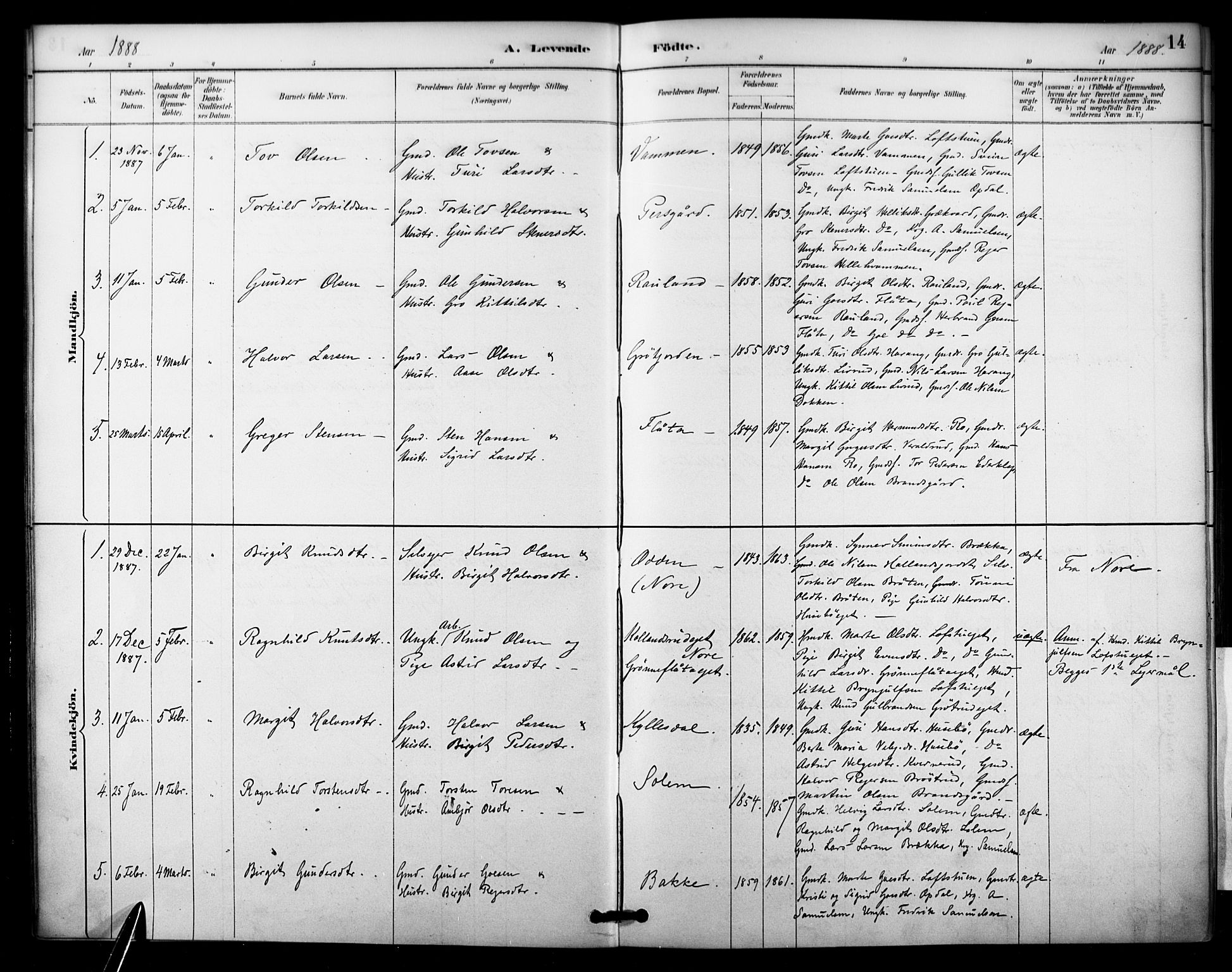 Nore kirkebøker, SAKO/A-238/F/Fc/L0004: Parish register (official) no. III 4, 1885-1898, p. 14