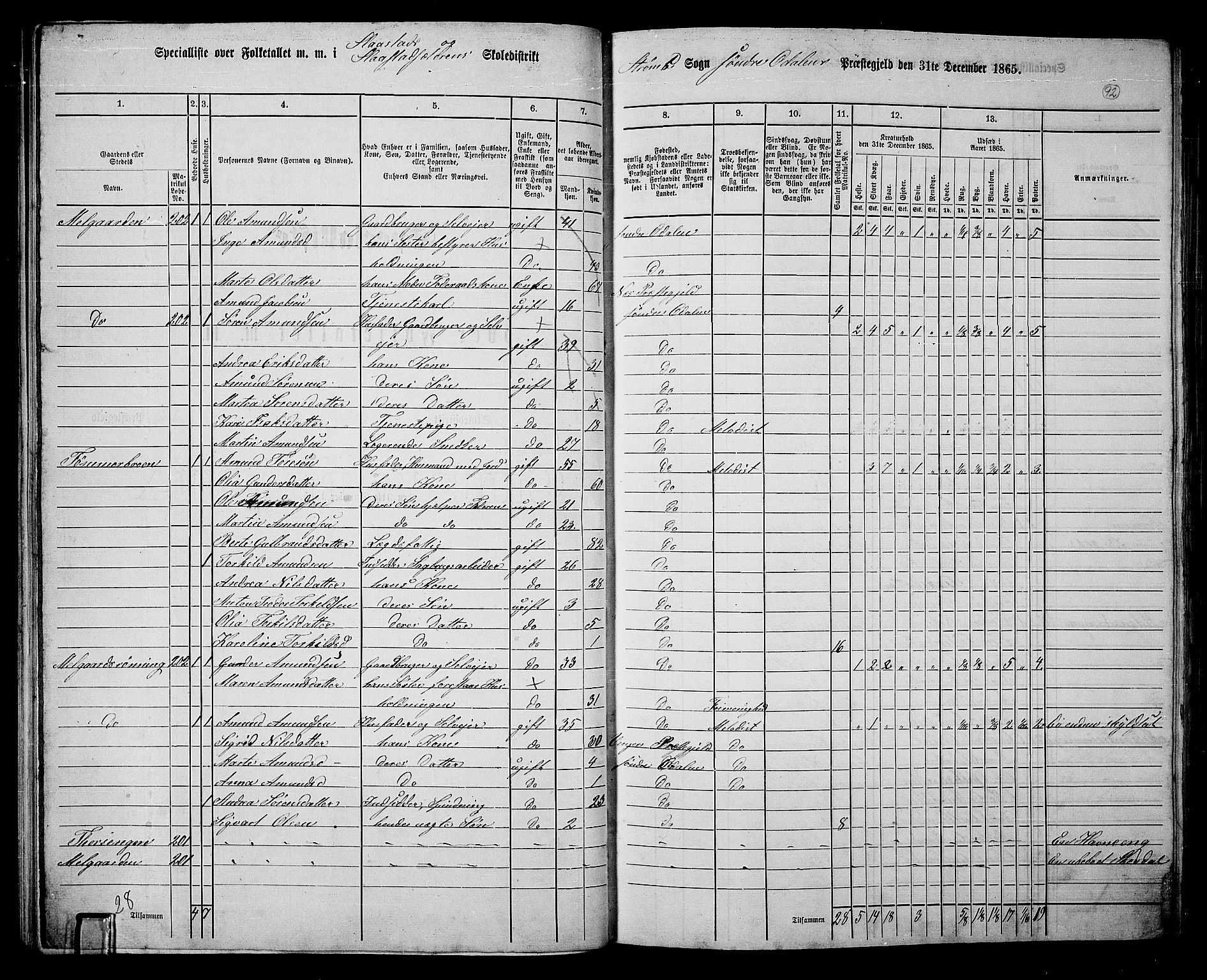 RA, 1865 census for Sør-Odal, 1865, p. 82