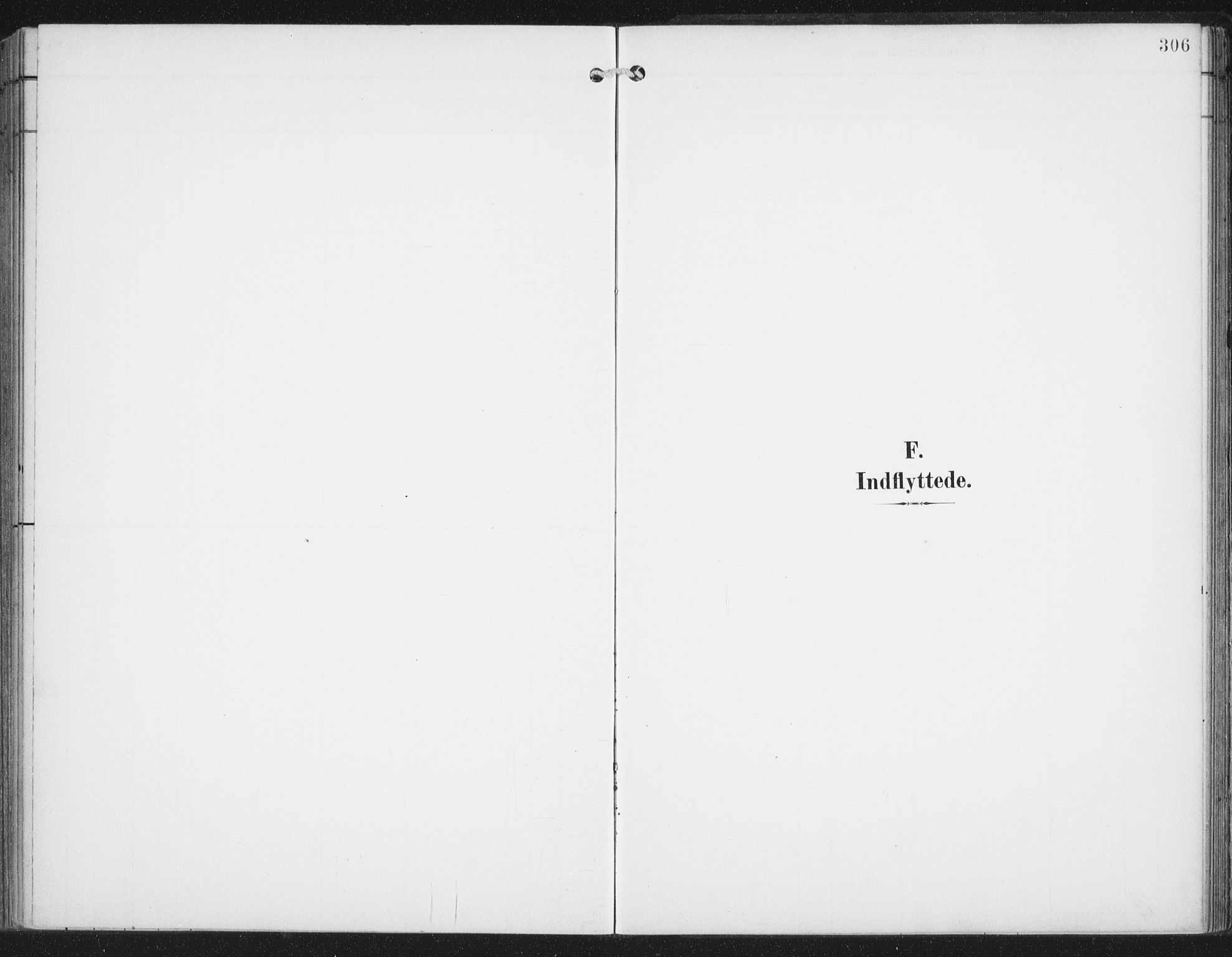Ministerialprotokoller, klokkerbøker og fødselsregistre - Nordland, SAT/A-1459/876/L1098: Parish register (official) no. 876A04, 1896-1915, p. 306