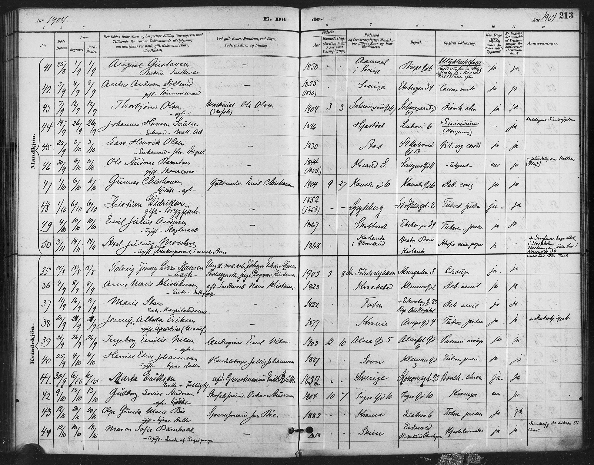 Gamlebyen prestekontor Kirkebøker, SAO/A-10884/F/Fa/L0009: Parish register (official) no. 9, 1888-1909, p. 213
