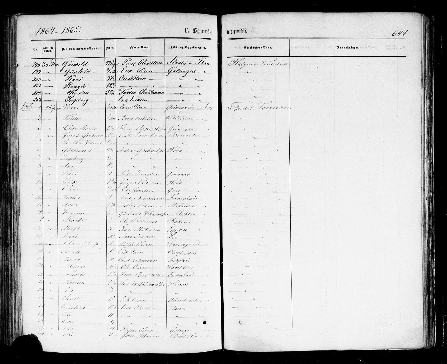 Nes kirkebøker, SAKO/A-236/F/Fa/L0010: Parish register (official) no. 10, 1864-1880, p. 648
