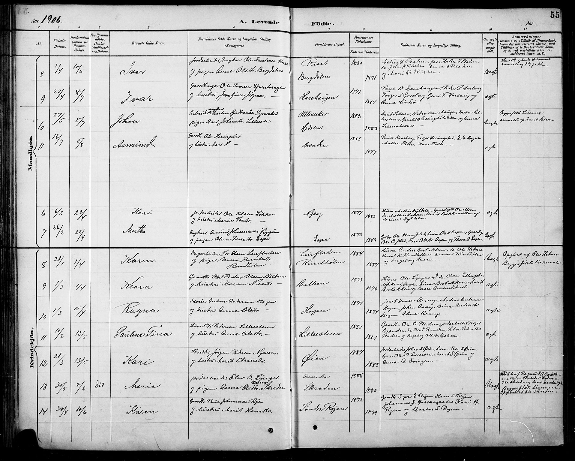 Sel prestekontor, SAH/PREST-074/H/Ha/Hab/L0005: Parish register (copy) no. 5, 1894-1923, p. 55