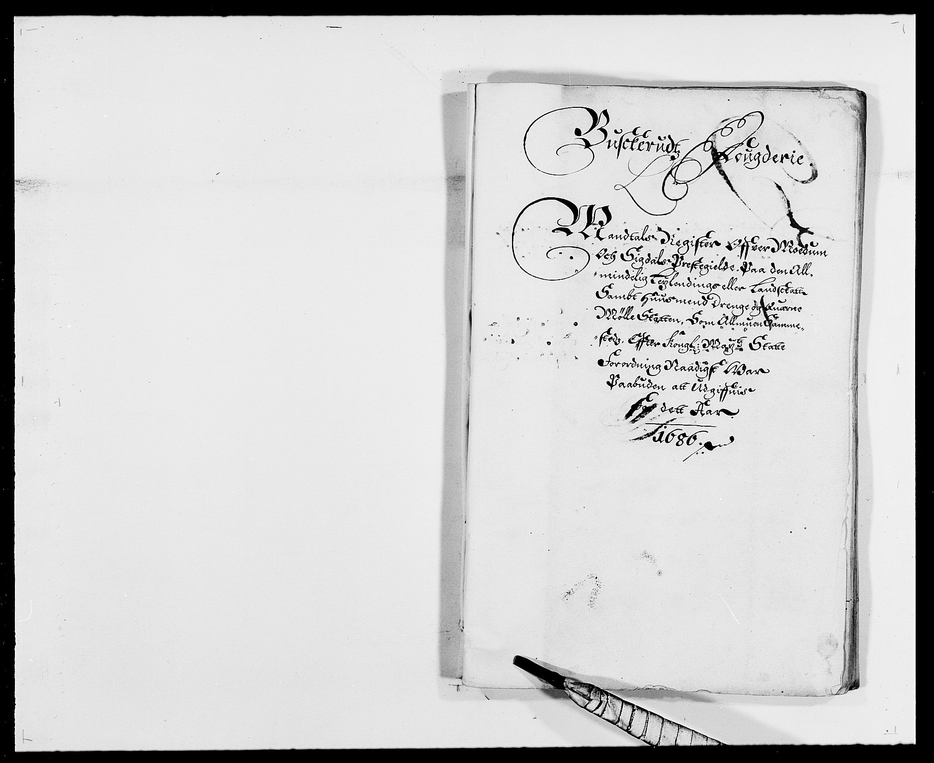 Rentekammeret inntil 1814, Reviderte regnskaper, Fogderegnskap, RA/EA-4092/R25/L1678: Fogderegnskap Buskerud, 1685-1686, p. 258