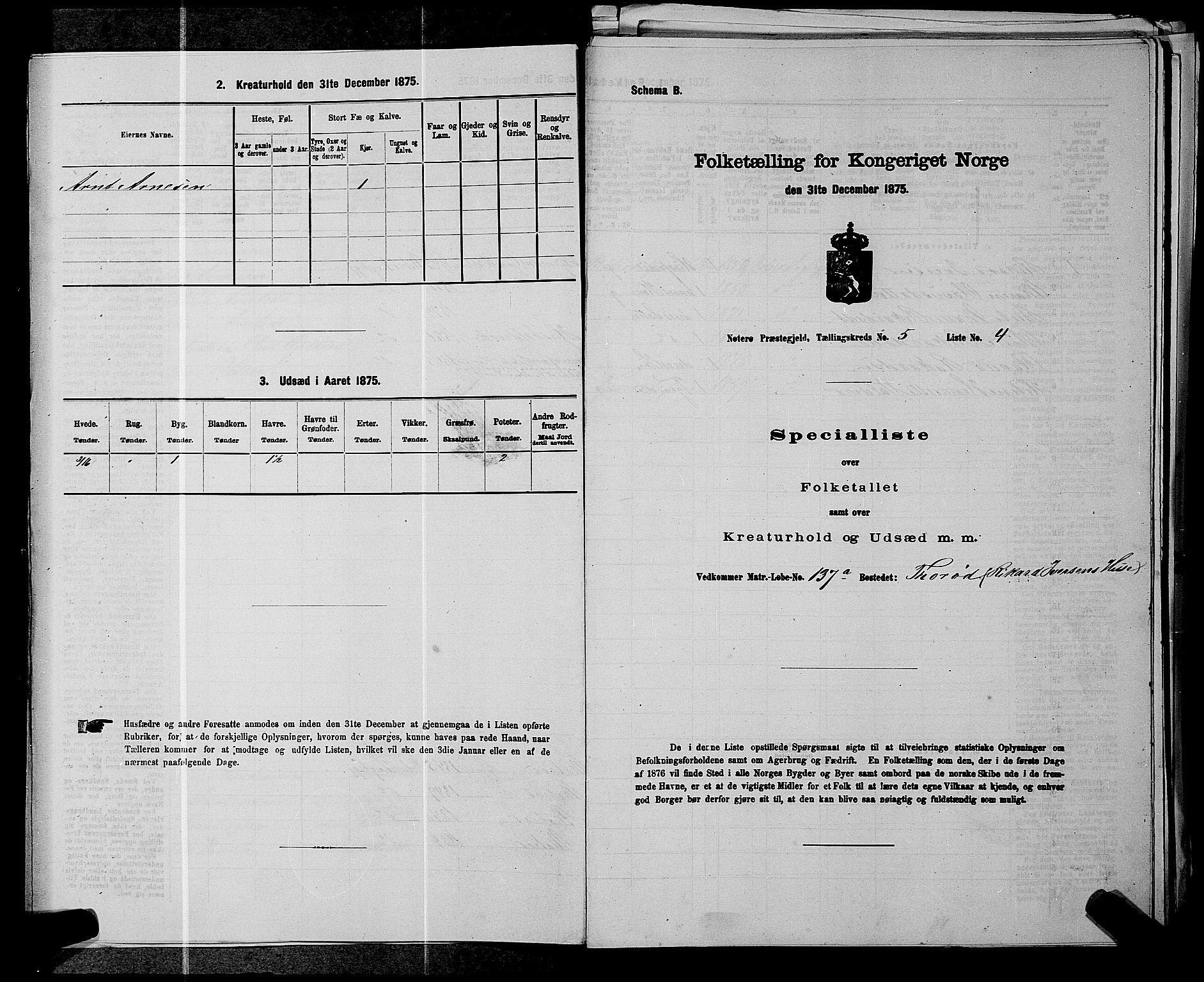 SAKO, 1875 census for 0722P Nøtterøy, 1875, p. 974