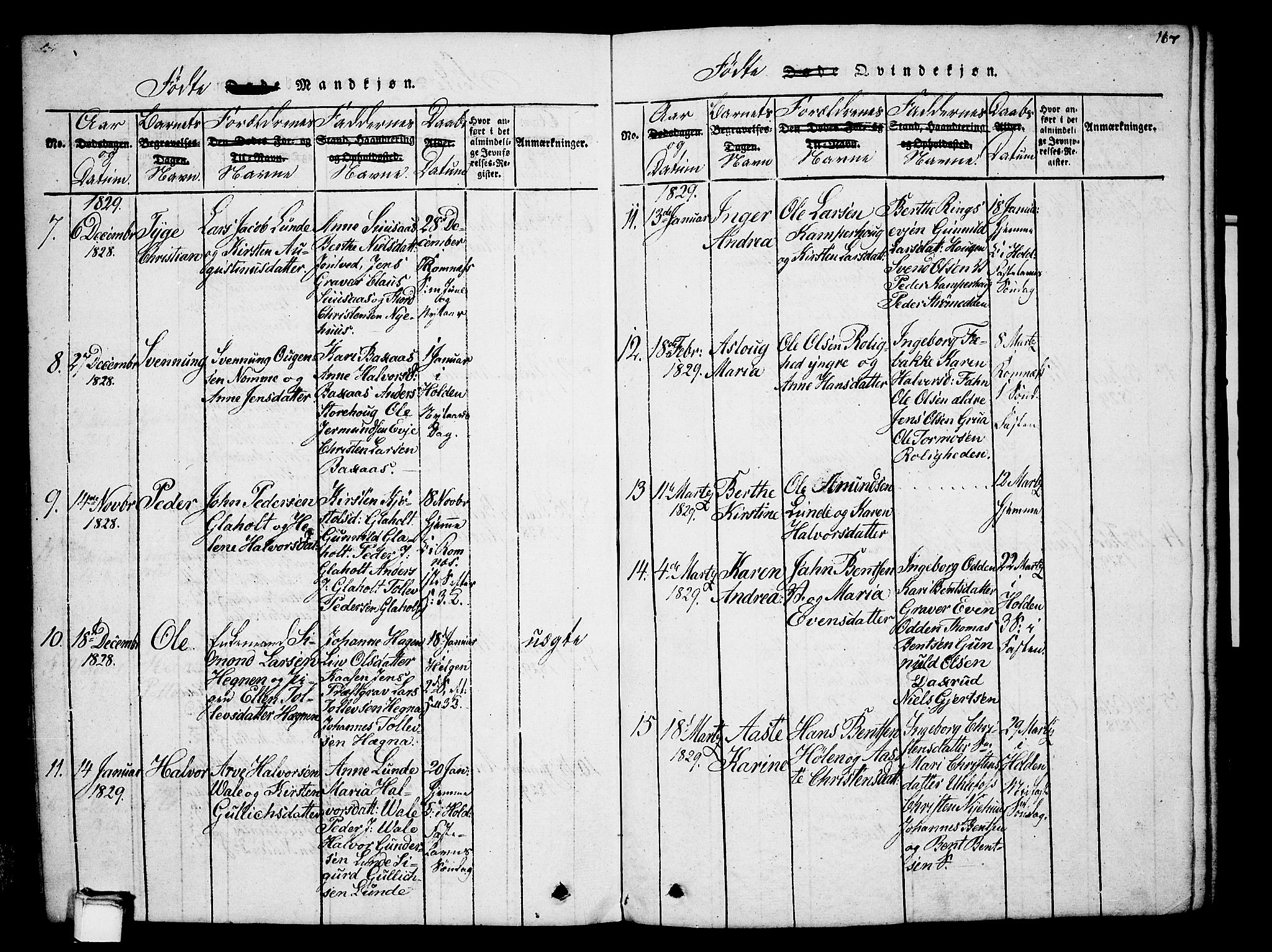 Holla kirkebøker, AV/SAKO-A-272/G/Ga/L0001: Parish register (copy) no. I 1, 1814-1830, p. 167